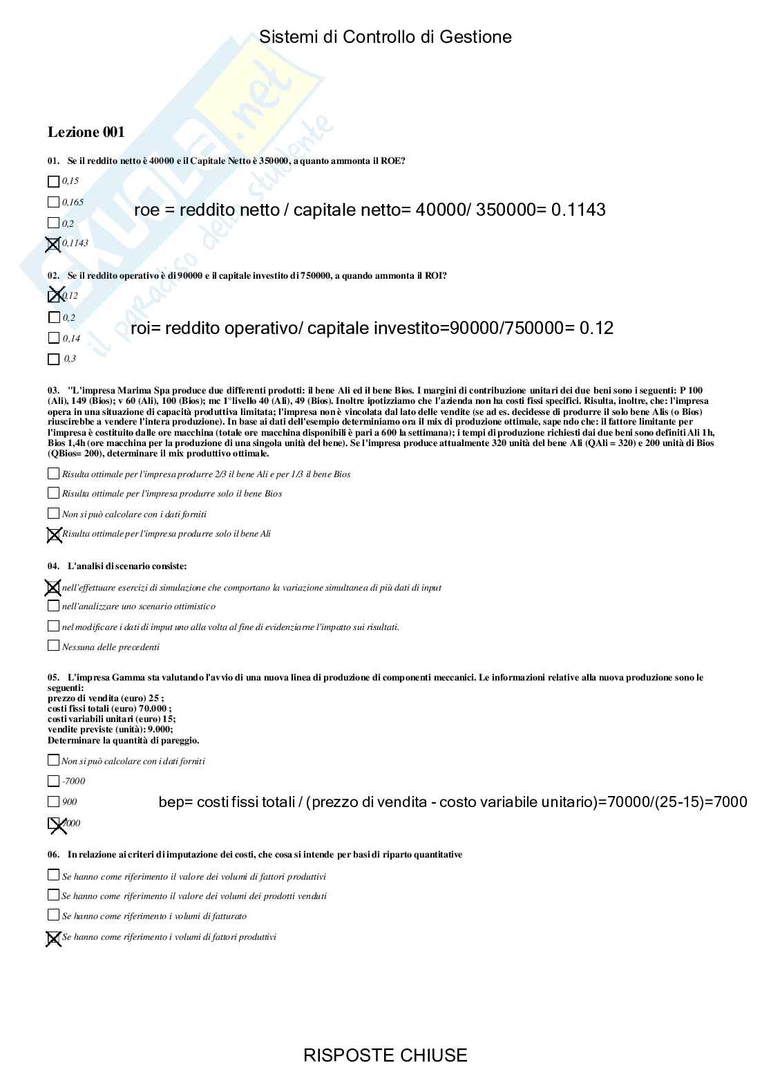 Sistemi di controllo di gestione - Paniere compilato Pag. 2