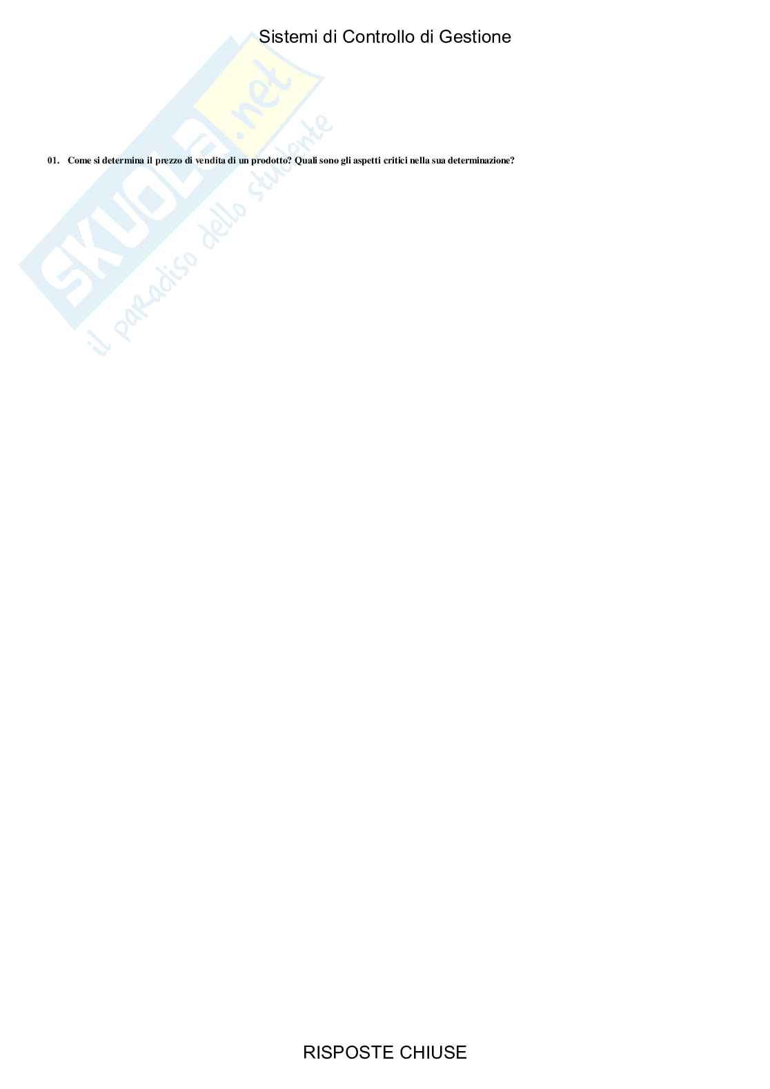 Sistemi di controllo di gestione - Paniere compilato Pag. 31