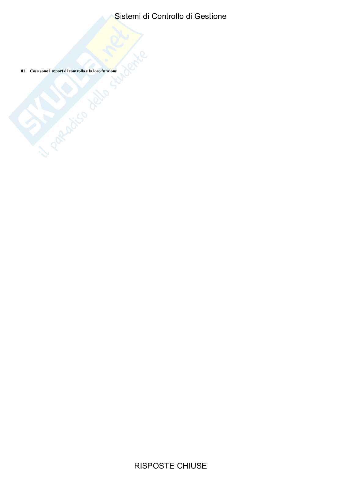 Sistemi di controllo di gestione - Paniere compilato Pag. 46