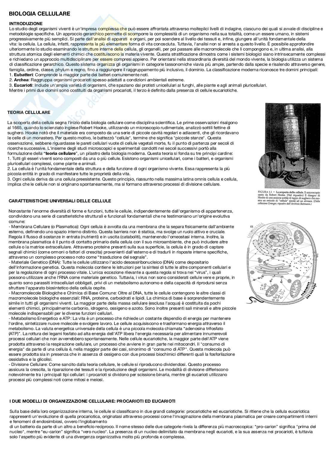 Biologia cellulare - introduzione al corso e macromolecole Pag. 1
