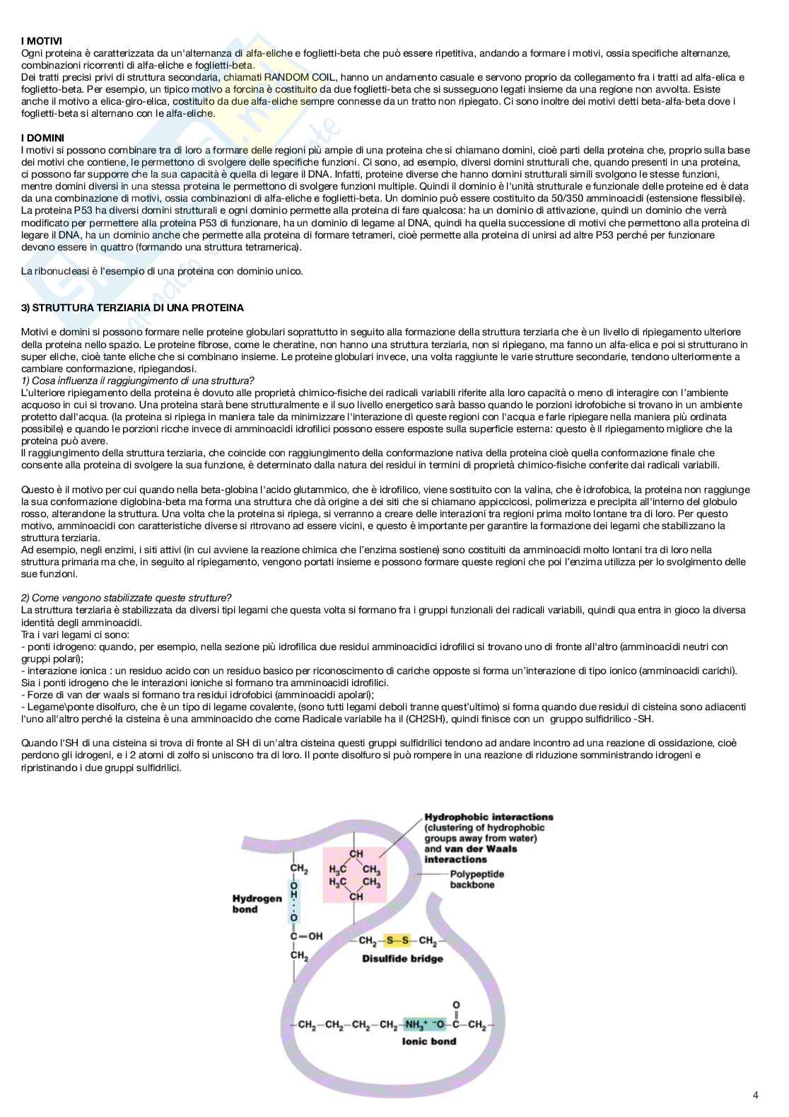 Biologia cellulare - introduzione al corso e macromolecole Pag. 16