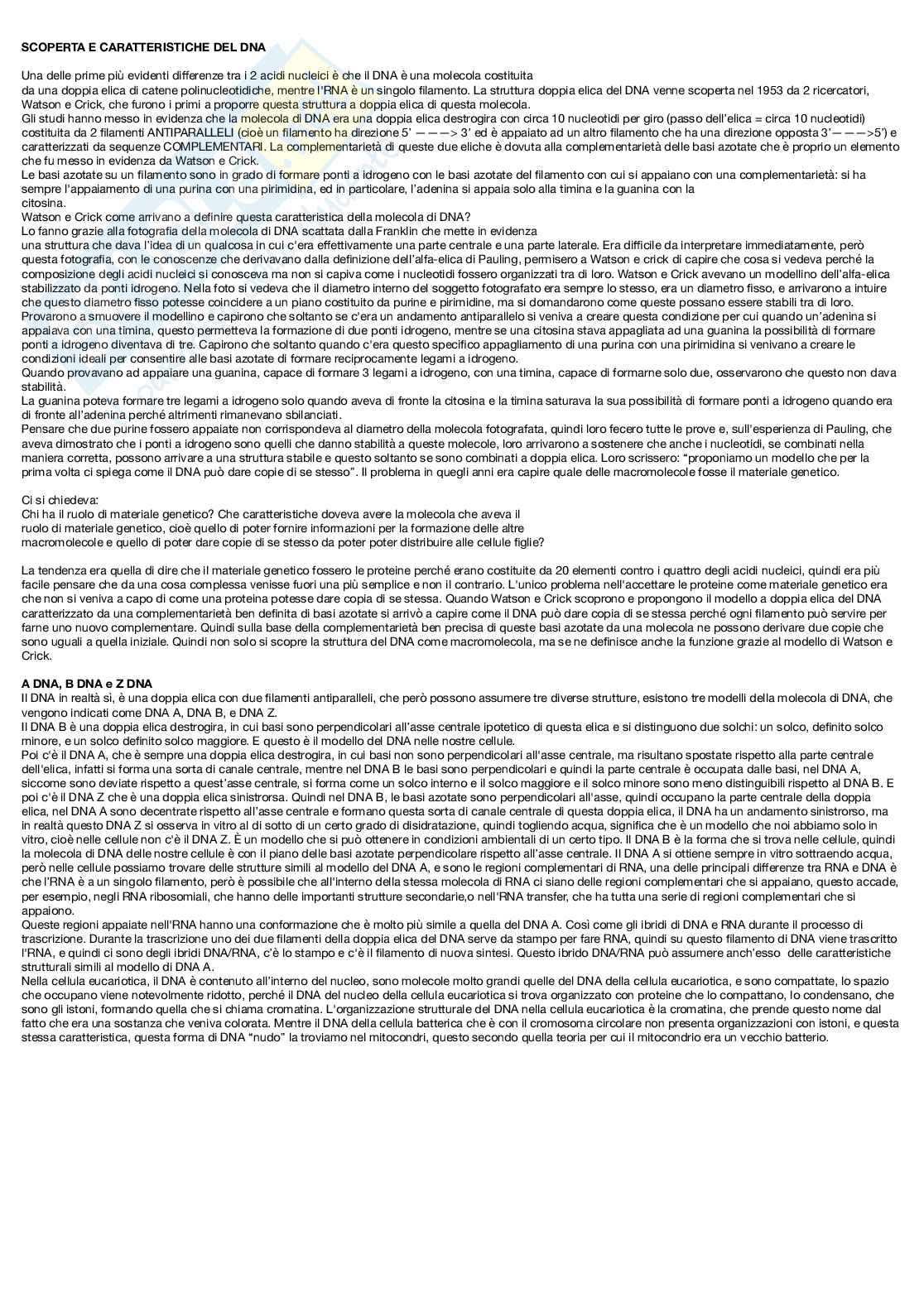 Biologia cellulare - introduzione al corso e macromolecole Pag. 21
