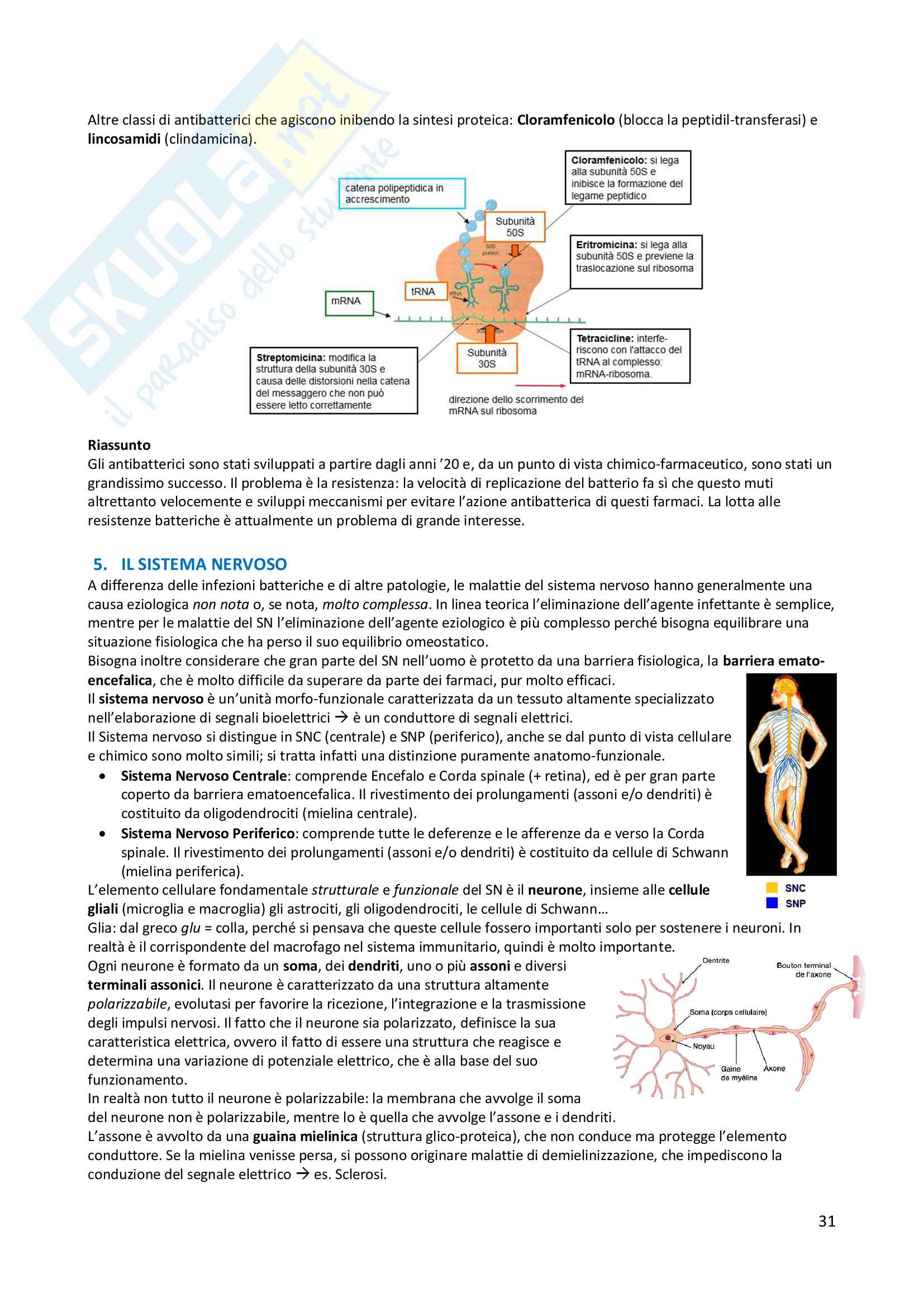 Basi molecolari dell'azione dei farmaci Pag. 31