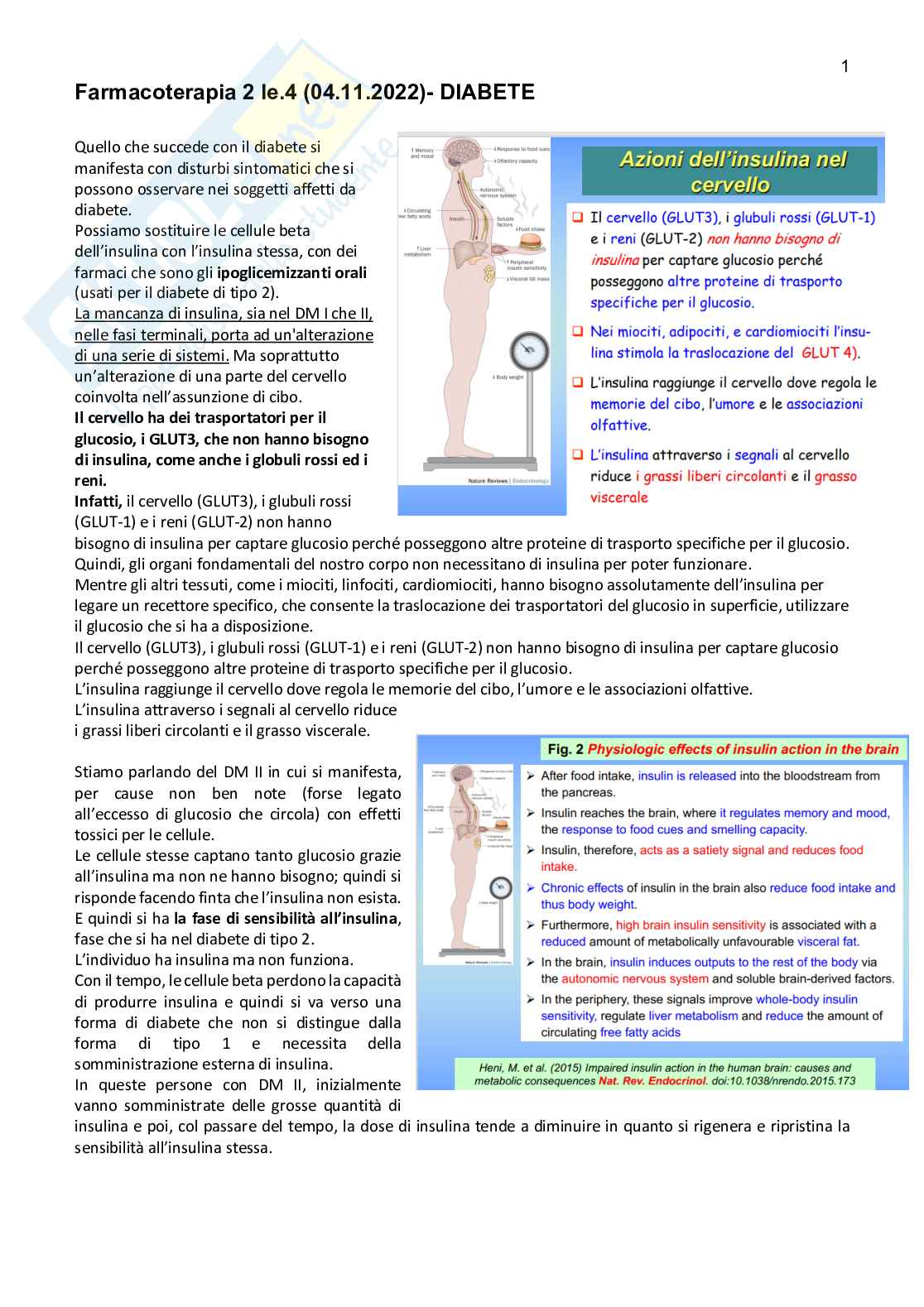 Farmacoterapia 2 - Parte 2.1 di 4 sul diabete Pag. 1