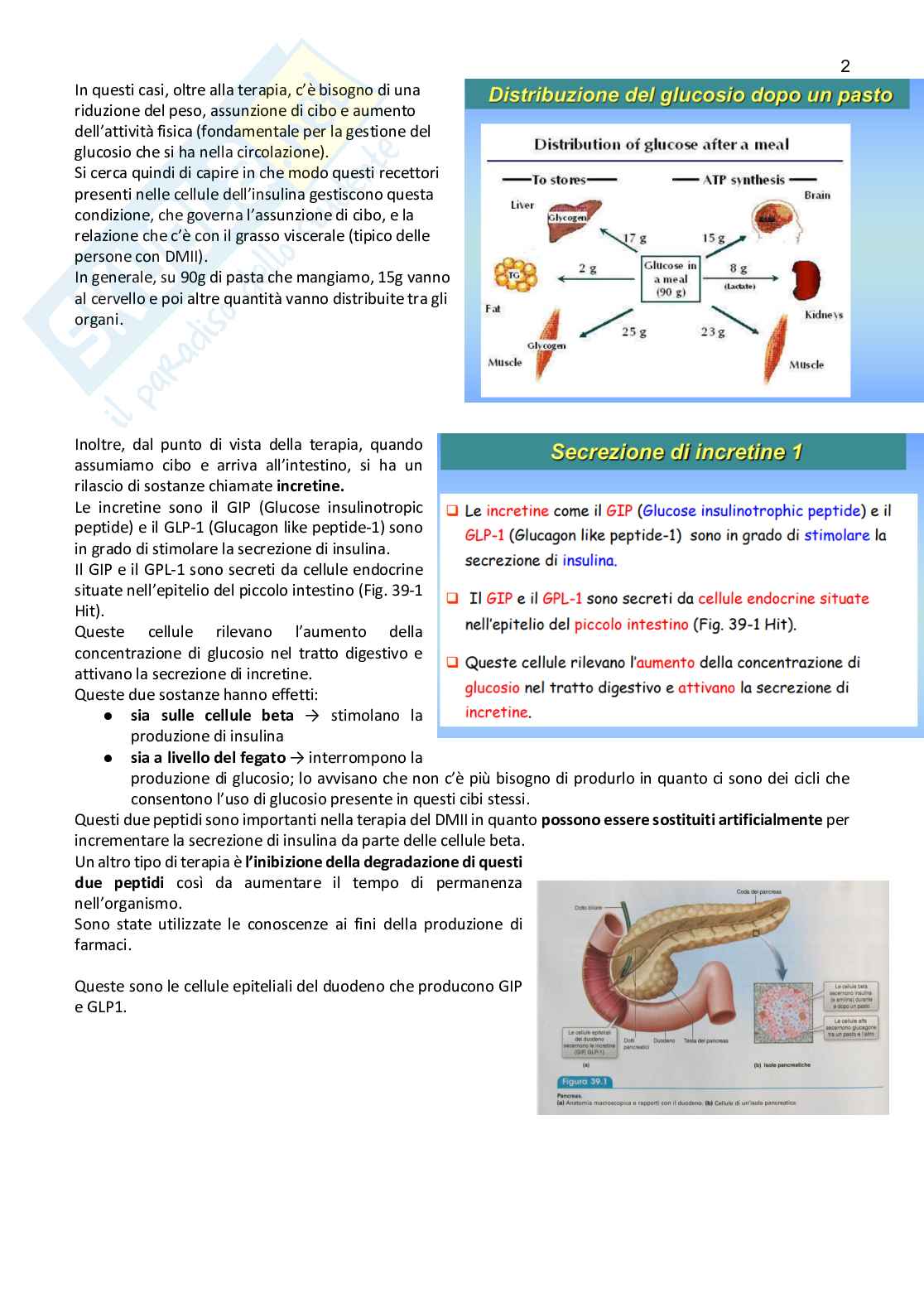 Farmacoterapia 2 - Parte 2.1 di 4 sul diabete Pag. 2