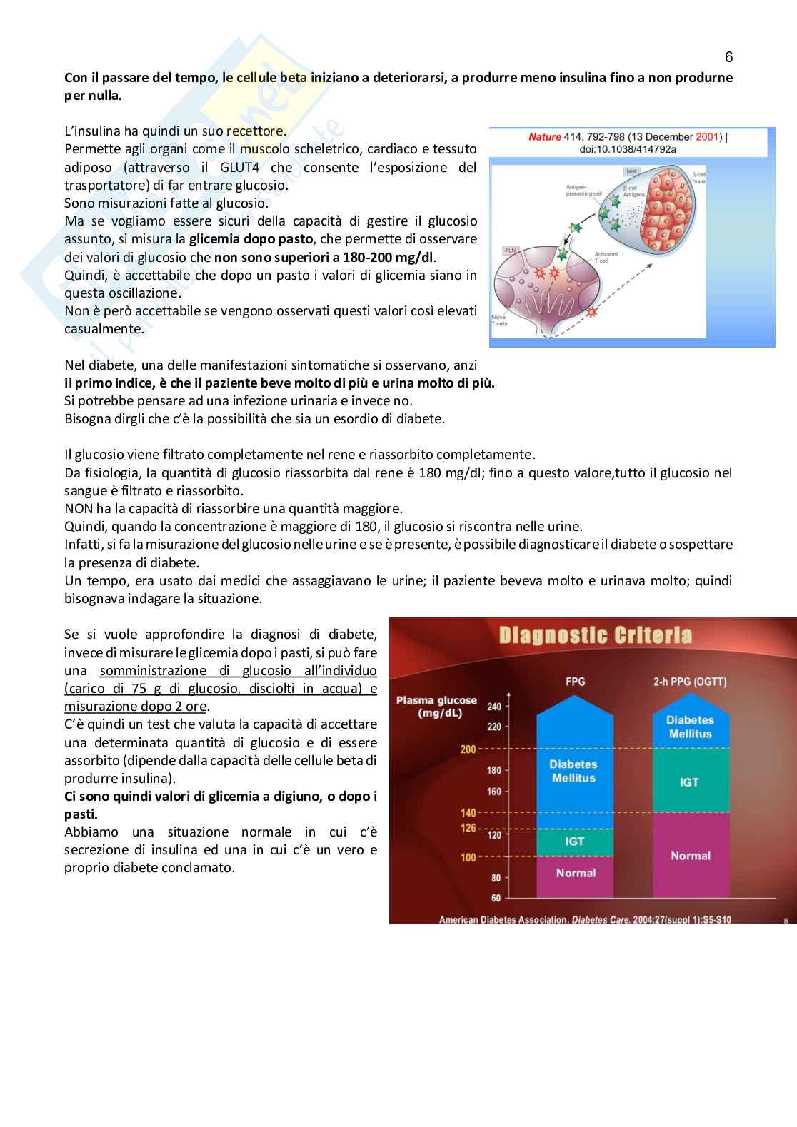 Farmacoterapia 2 - Parte 2.1 di 4 sul diabete Pag. 6