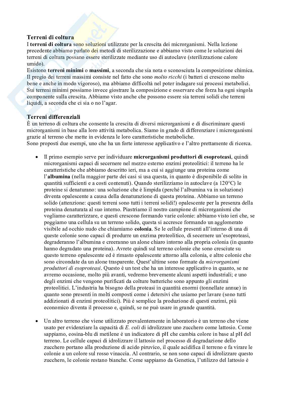 Appunti di Microbiologia con Laboratorio - Lezione 3  Pag. 1