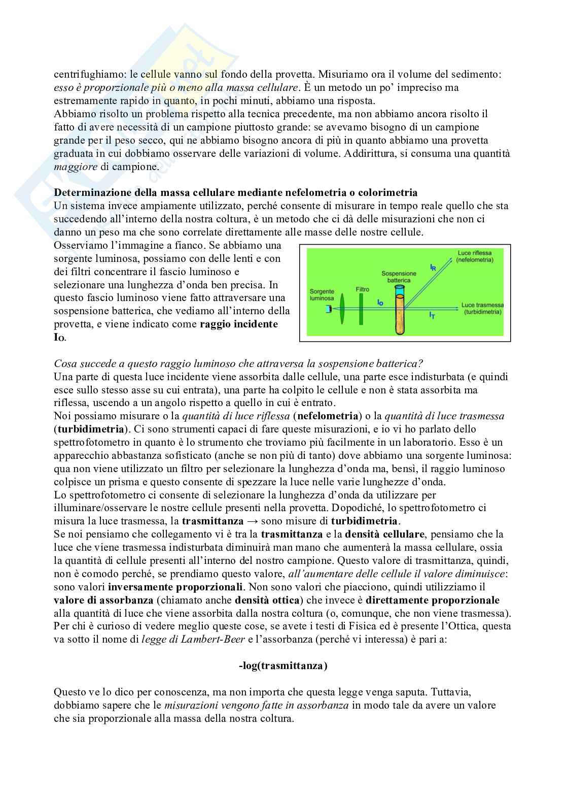 Appunti di Microbiologia con Laboratorio - Lezione 3  Pag. 11