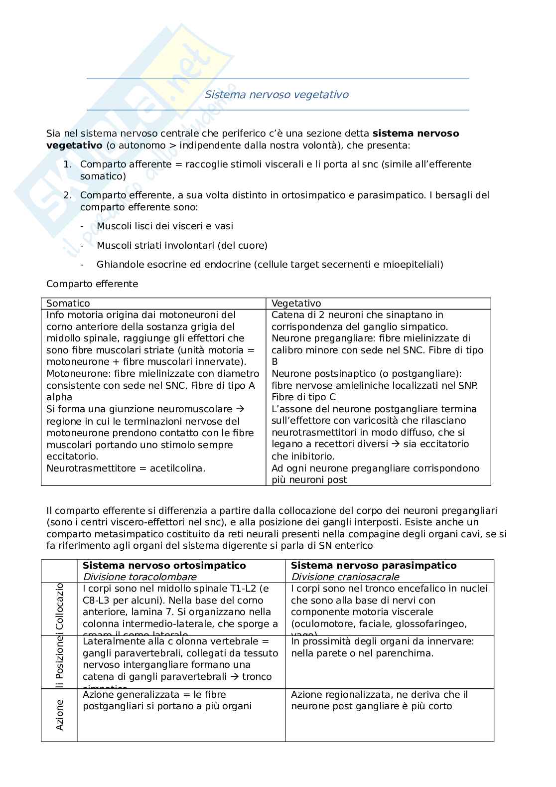Sistema nervoso vegetativo Pag. 1