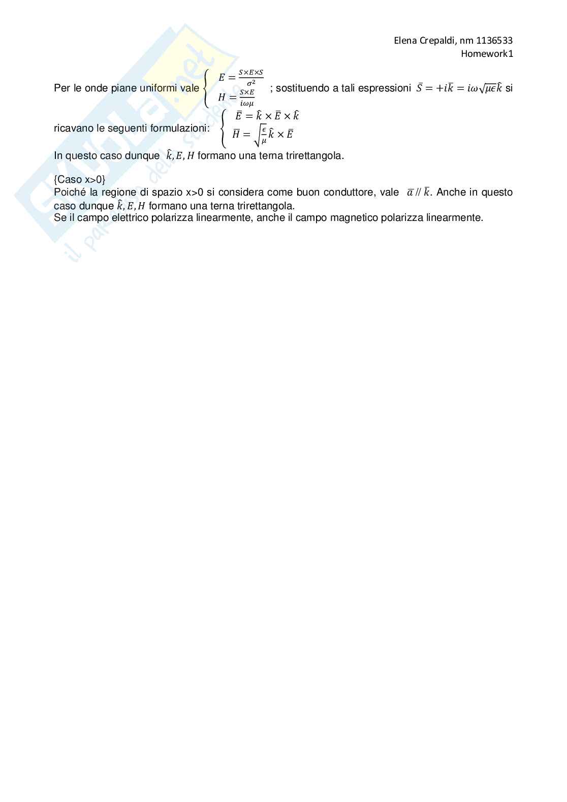 Homework Bioelettromagnetismo Pag. 6