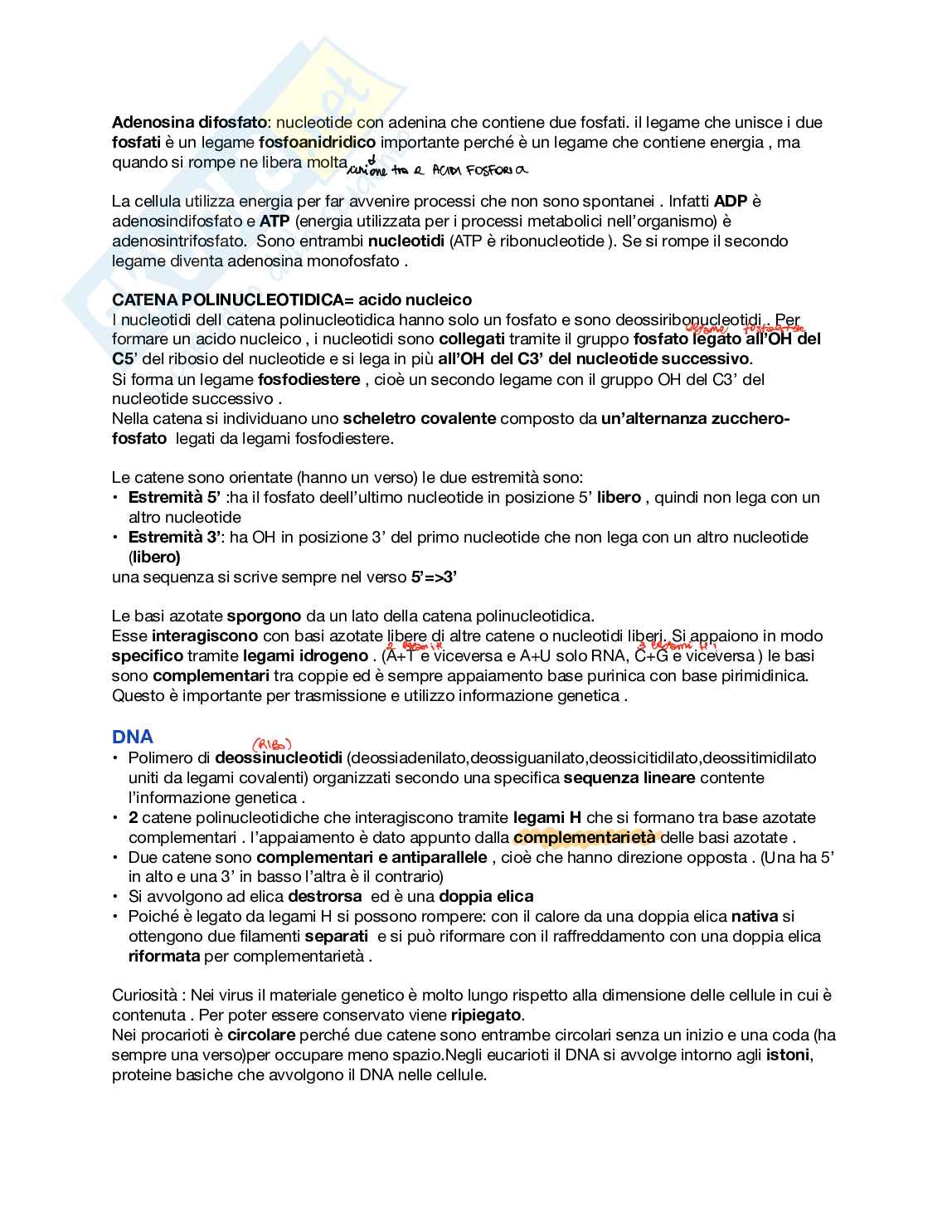 Biologia - modulo 2 Pag. 2