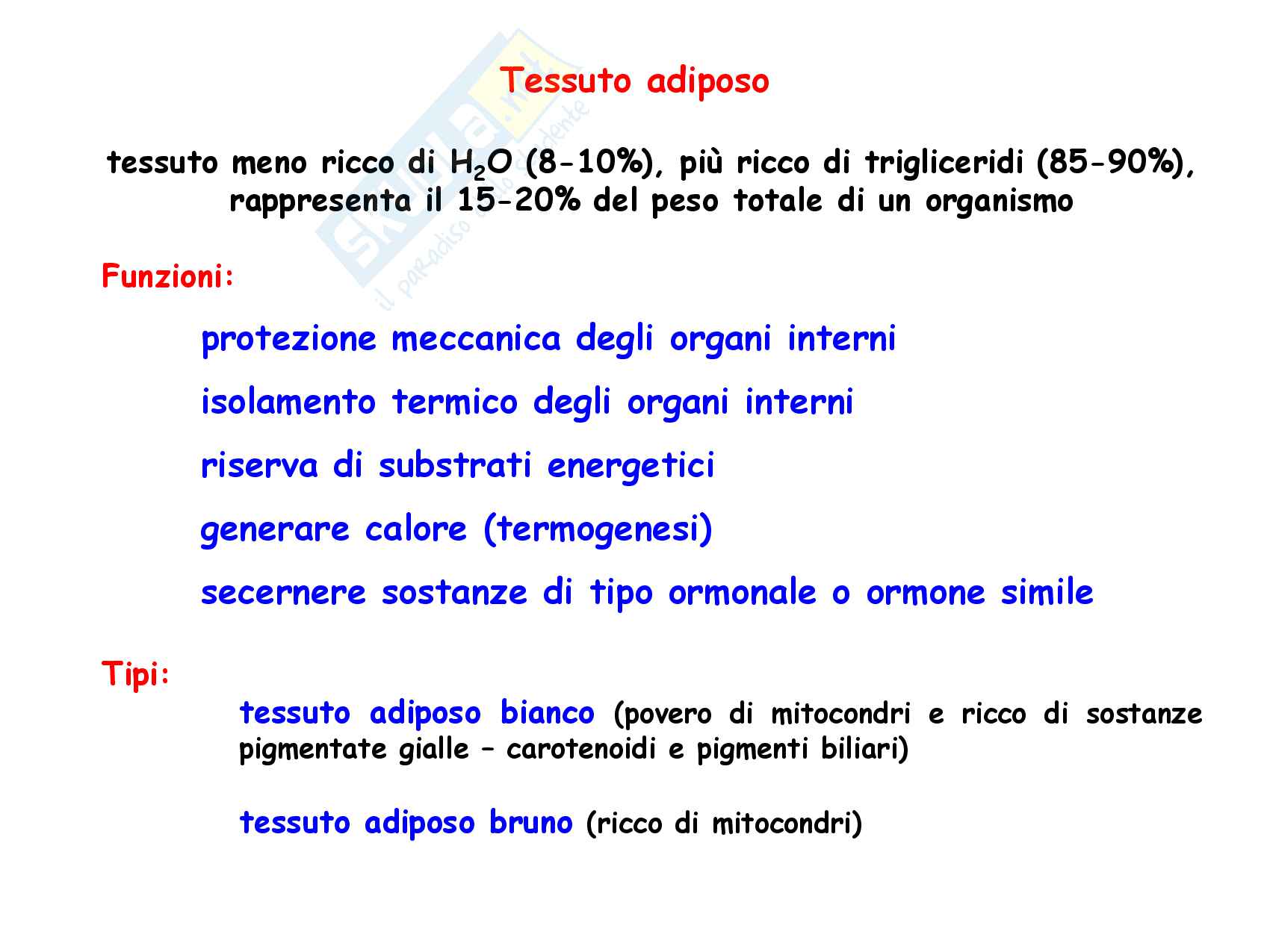 31 Dinamiche metaboliche del tessuto adiposo bianco e bruno Pag. 2