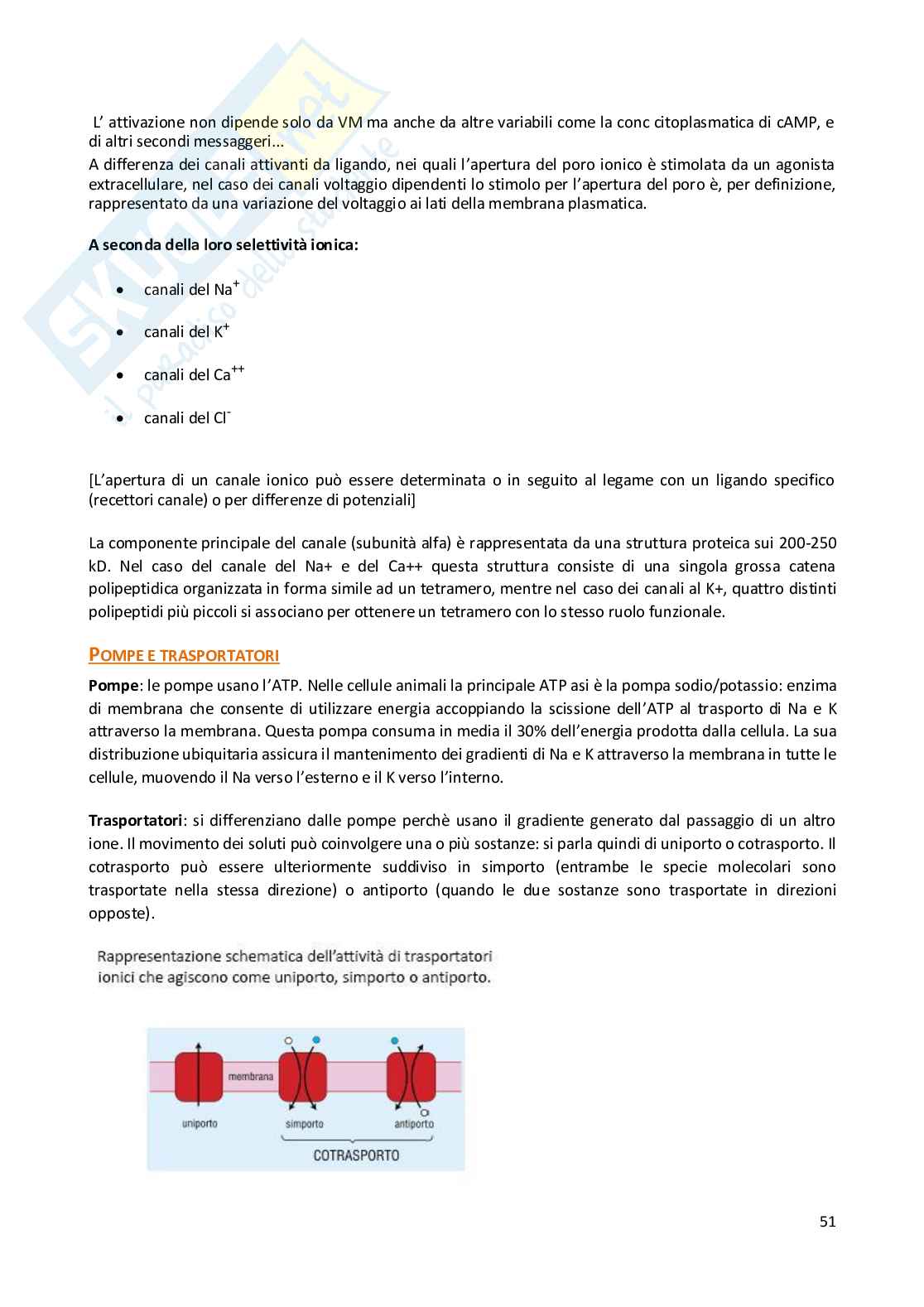 Prima parte Tossicologia Pag. 51
