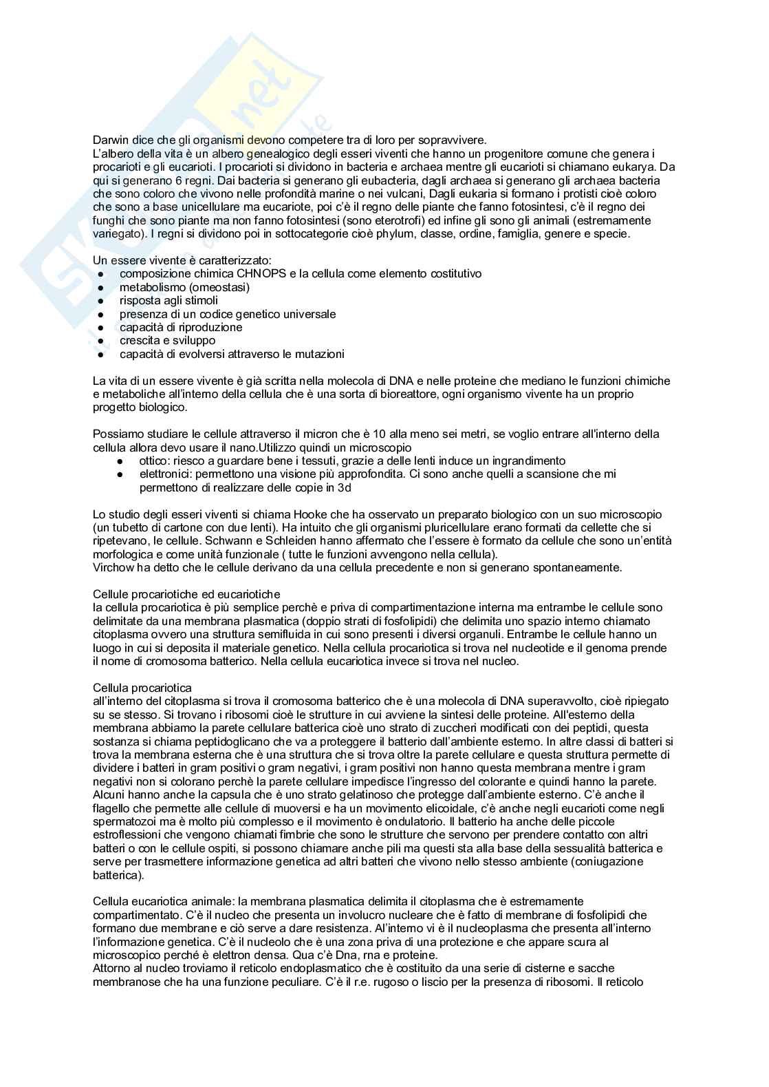 Biologia e biologia molecolare, unità 1 semestre filtro Pag. 2