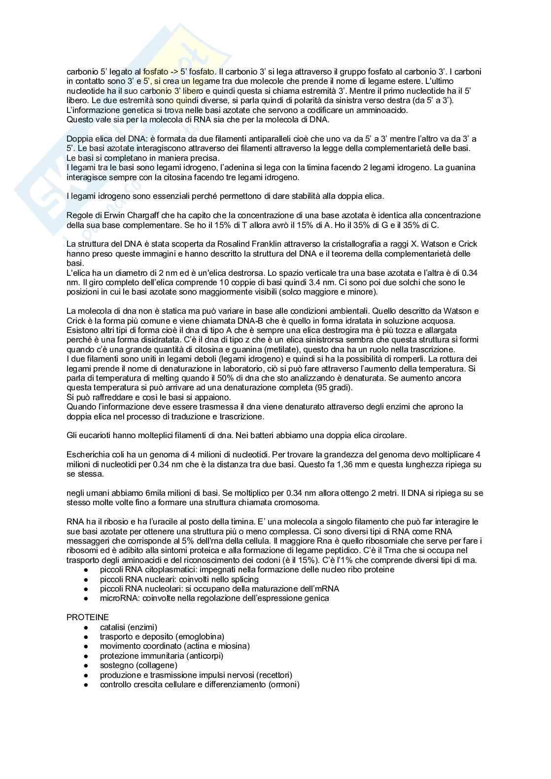 Biologia e biologia molecolare, unità 1 semestre filtro Pag. 6