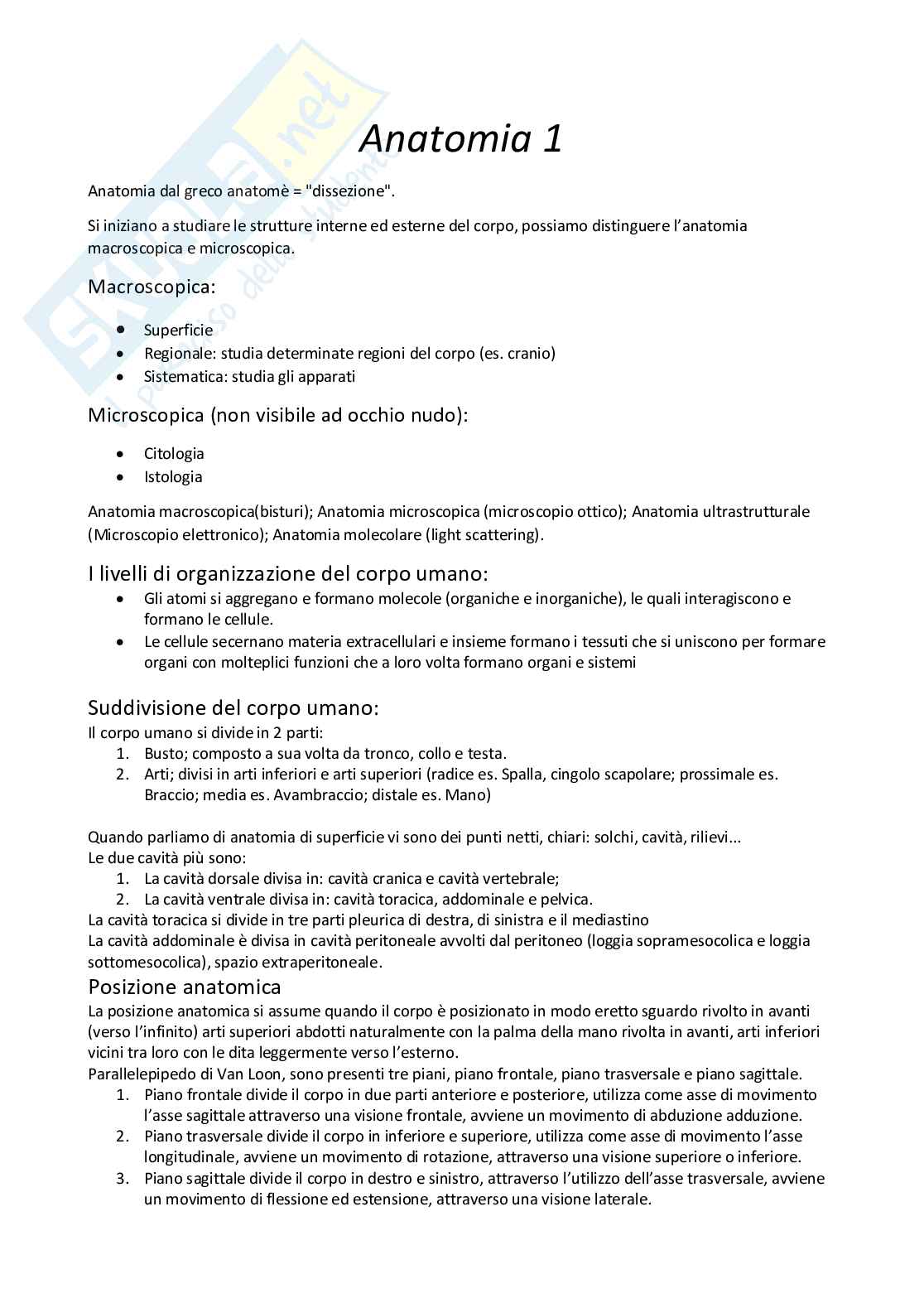 Anatomia umana I Pag. 1