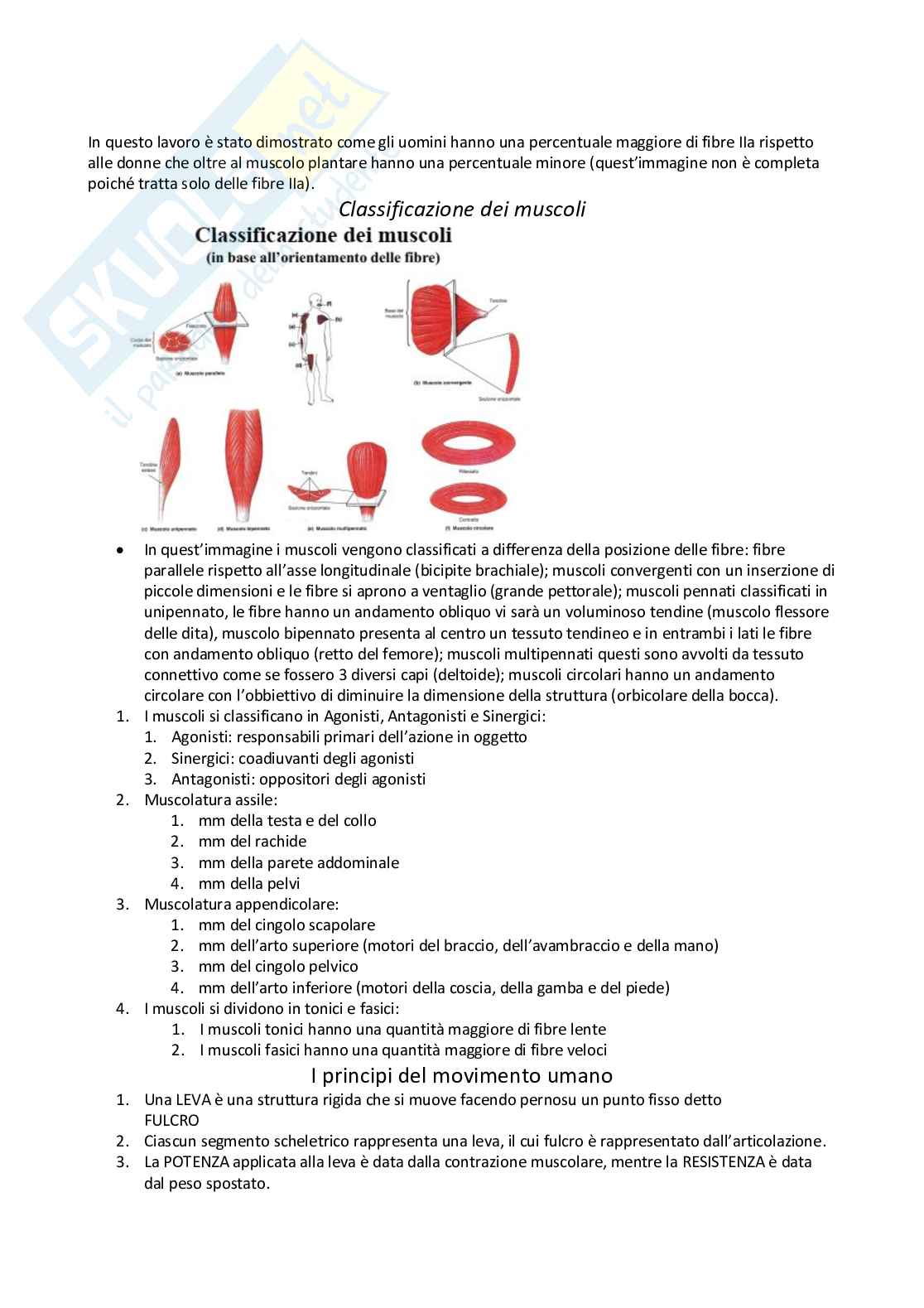 Anatomia umana I Pag. 11