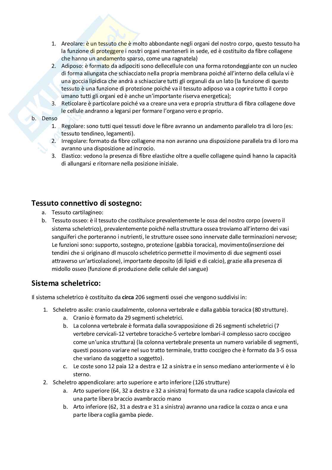 Anatomia umana I Pag. 16