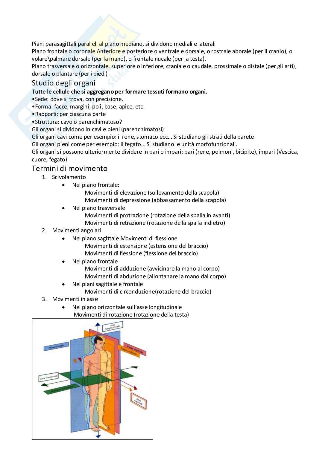 Anatomia umana I Pag. 2