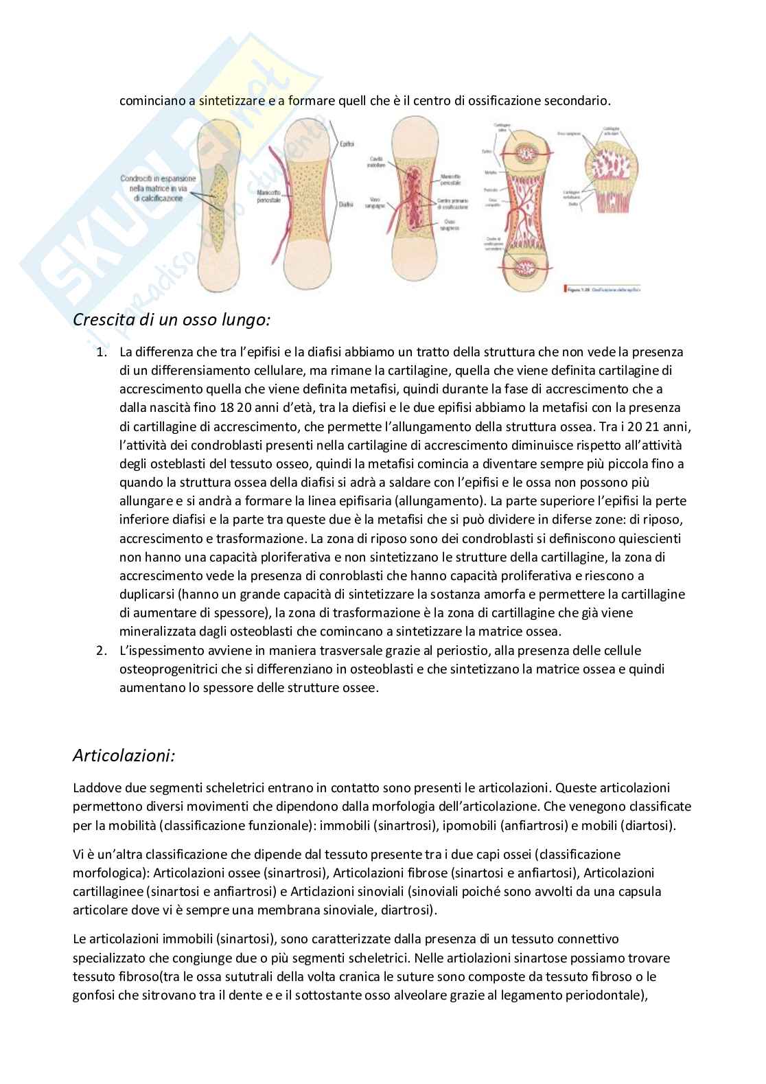 Anatomia umana I Pag. 21