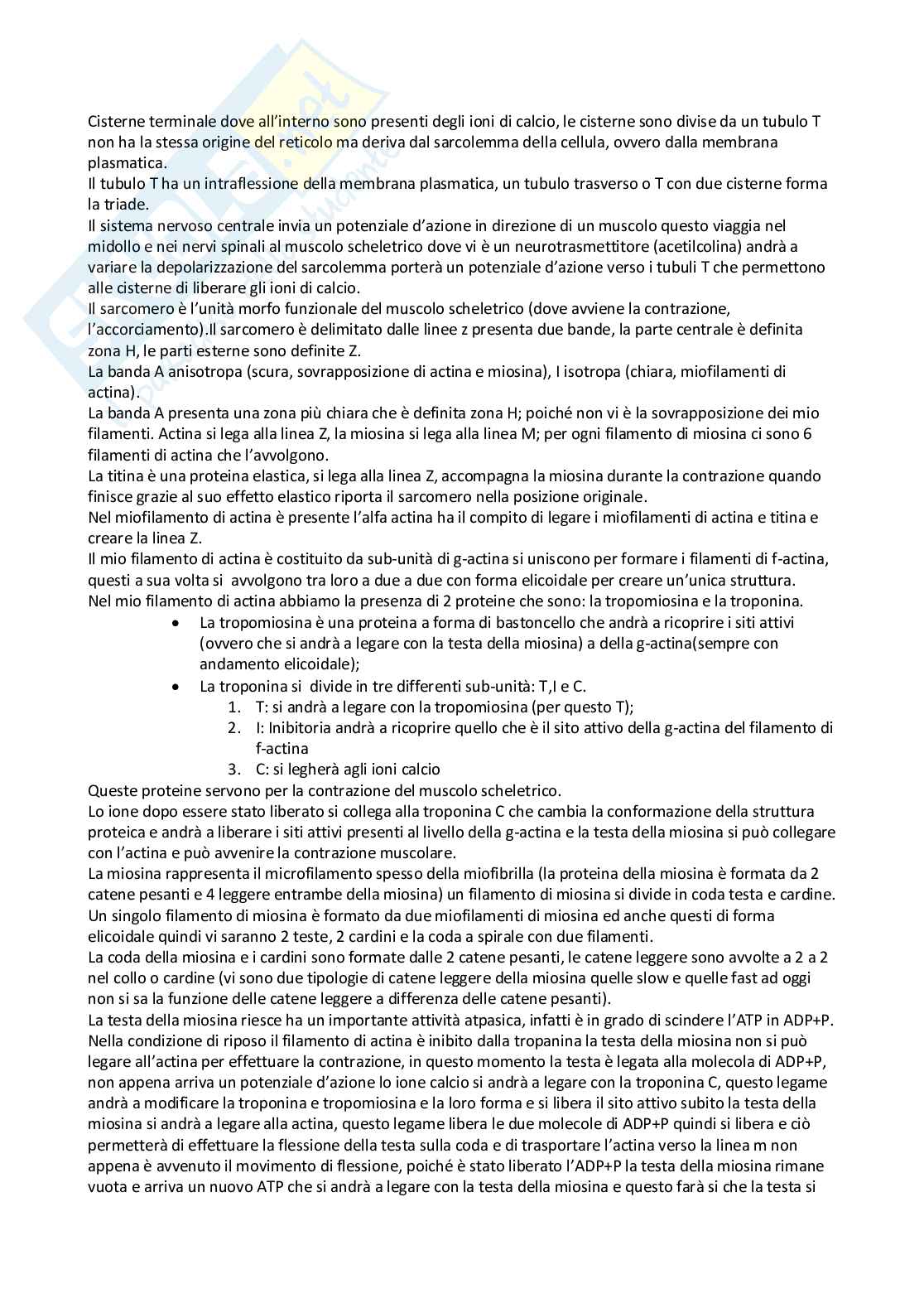 Anatomia umana I Pag. 6