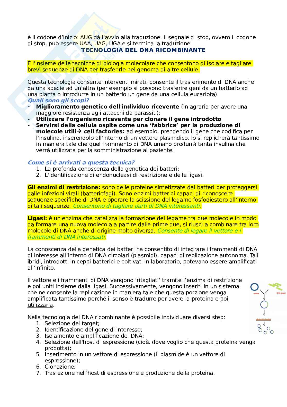 Basi molecolari dei farmaci biotecnologici - Introduzione Pag. 2