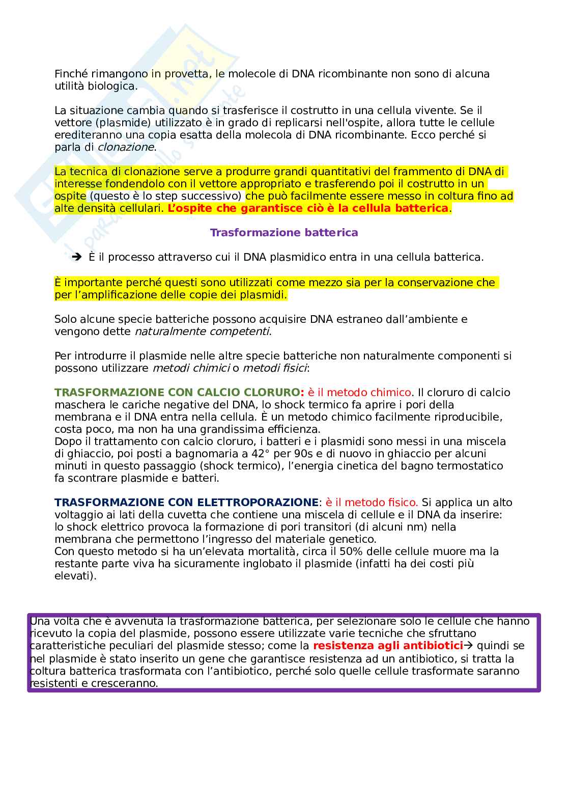 Basi molecolari dei farmaci biotecnologici - Introduzione Pag. 6