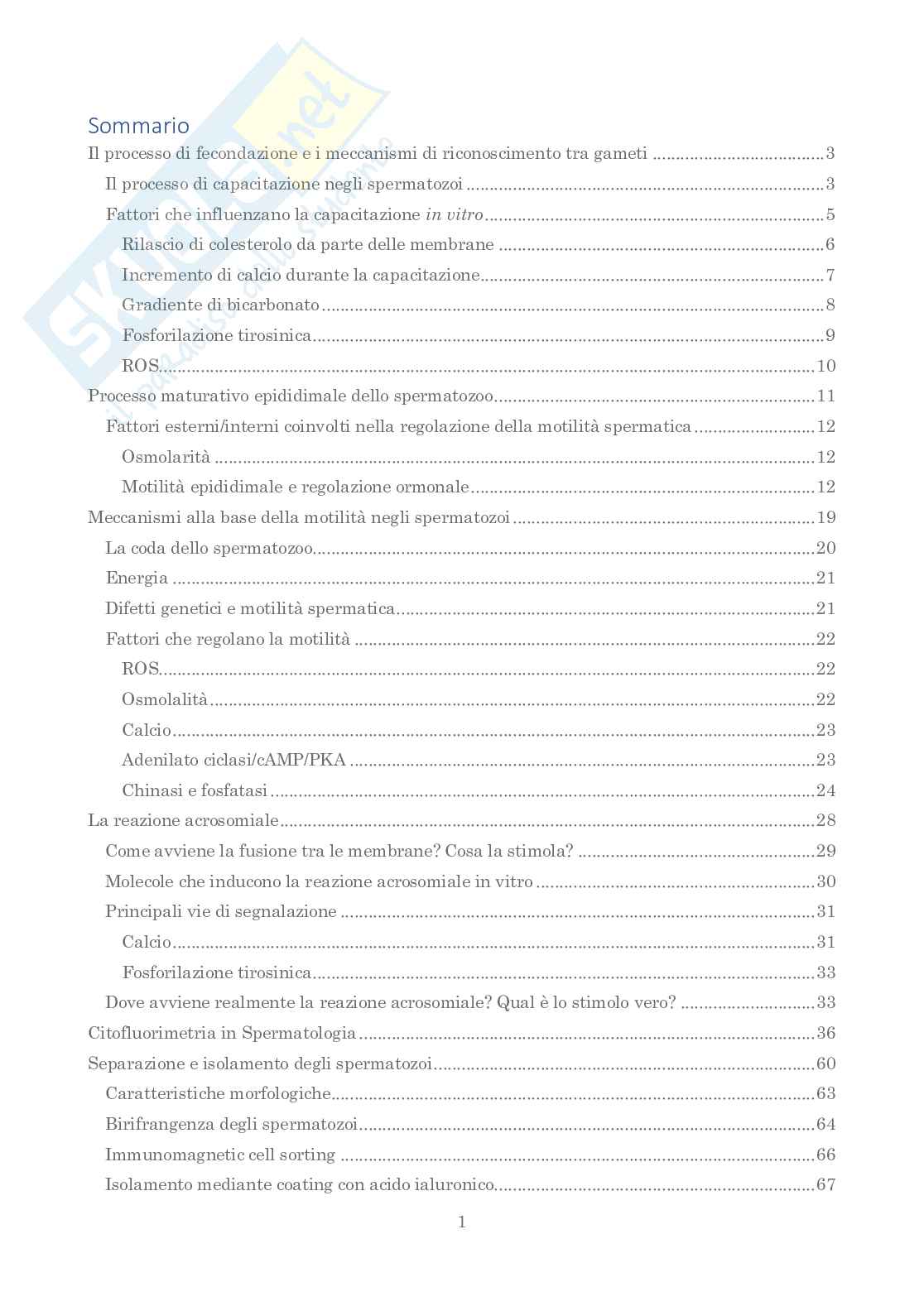 Tecniche di laboratorio in spermatologia Pag. 2
