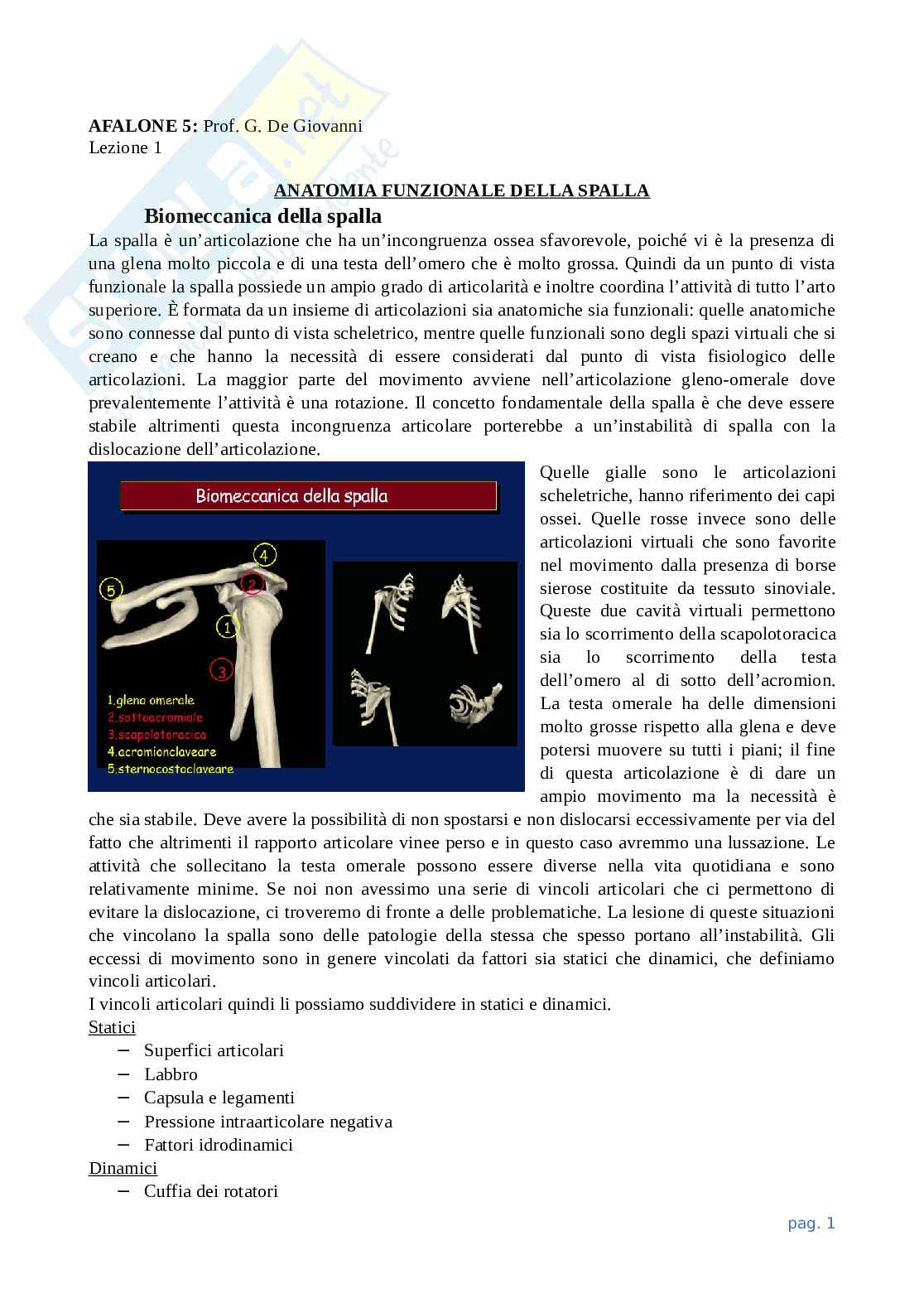 Lezione 1 anatomia funzionale degli apparati locomotore e nervoso Pag. 1