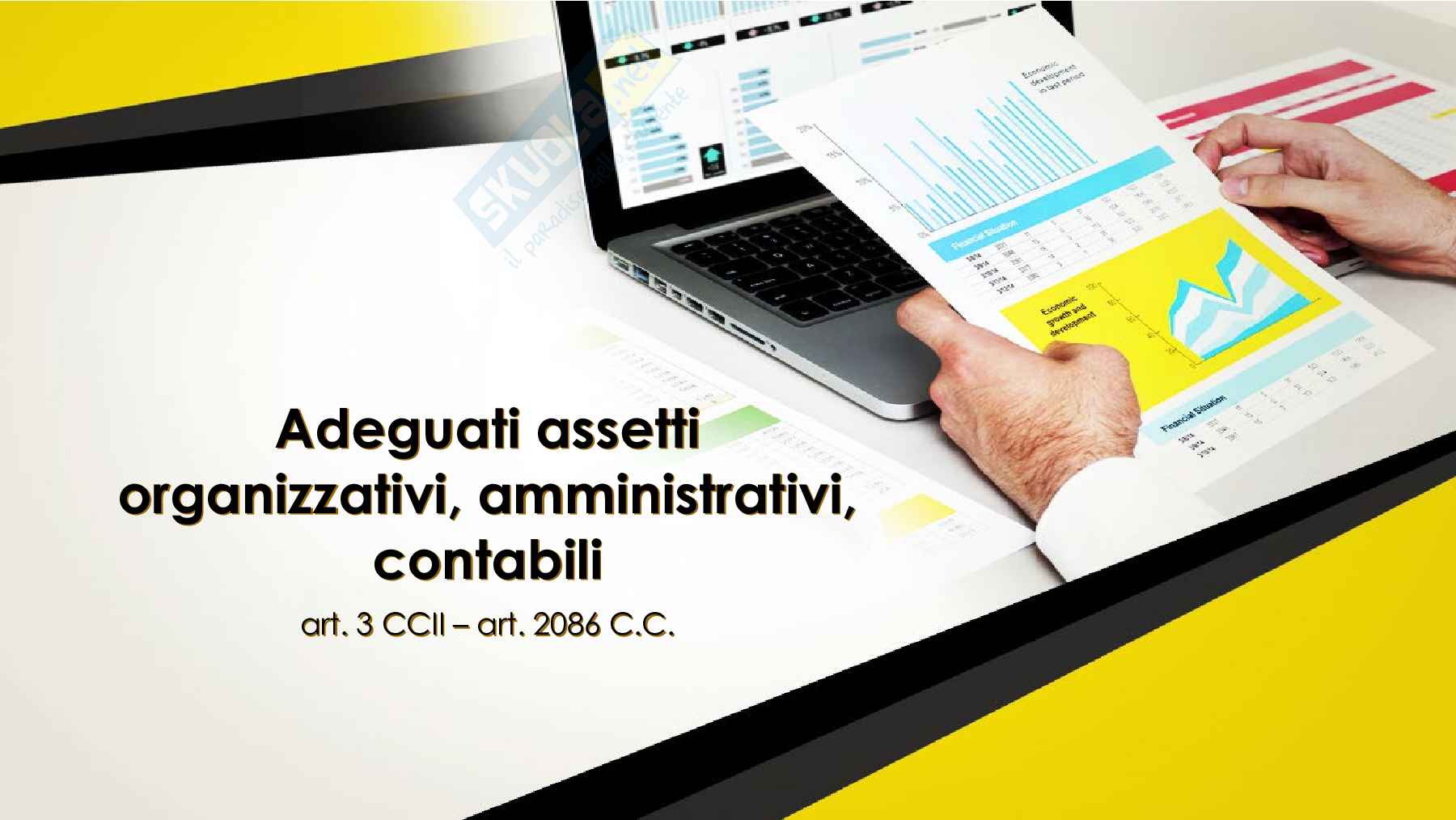 Adeguati assetti societari Pag. 1