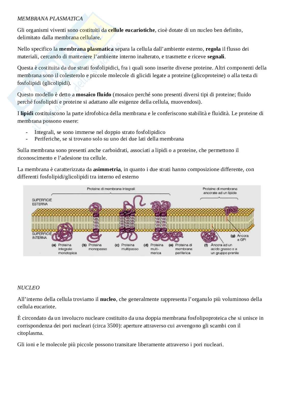 Appunti di Fisiologia e Fisiopatologia Pag. 2
