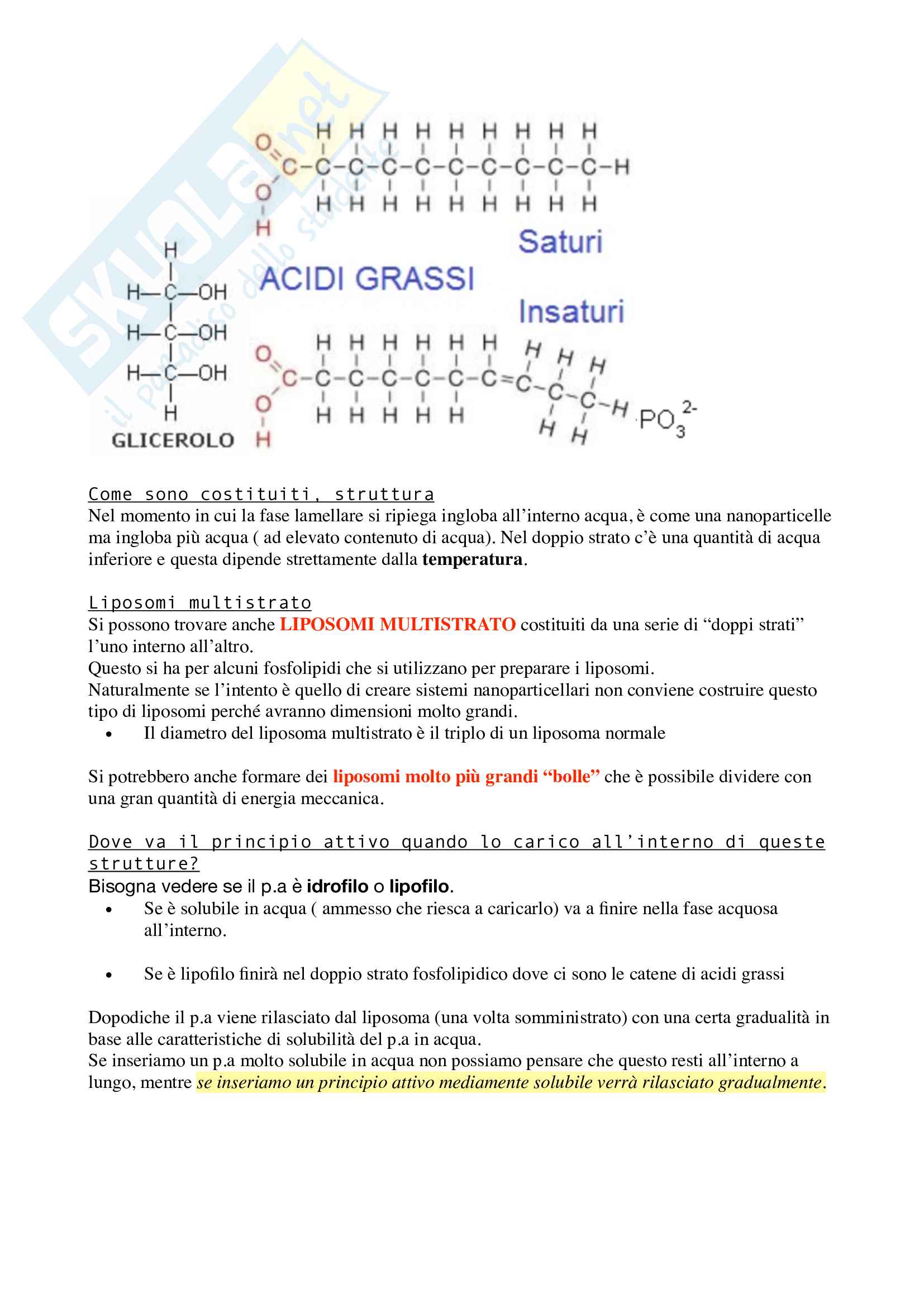 Appunti tecnologie farmaceutiche industriali Pag. 2