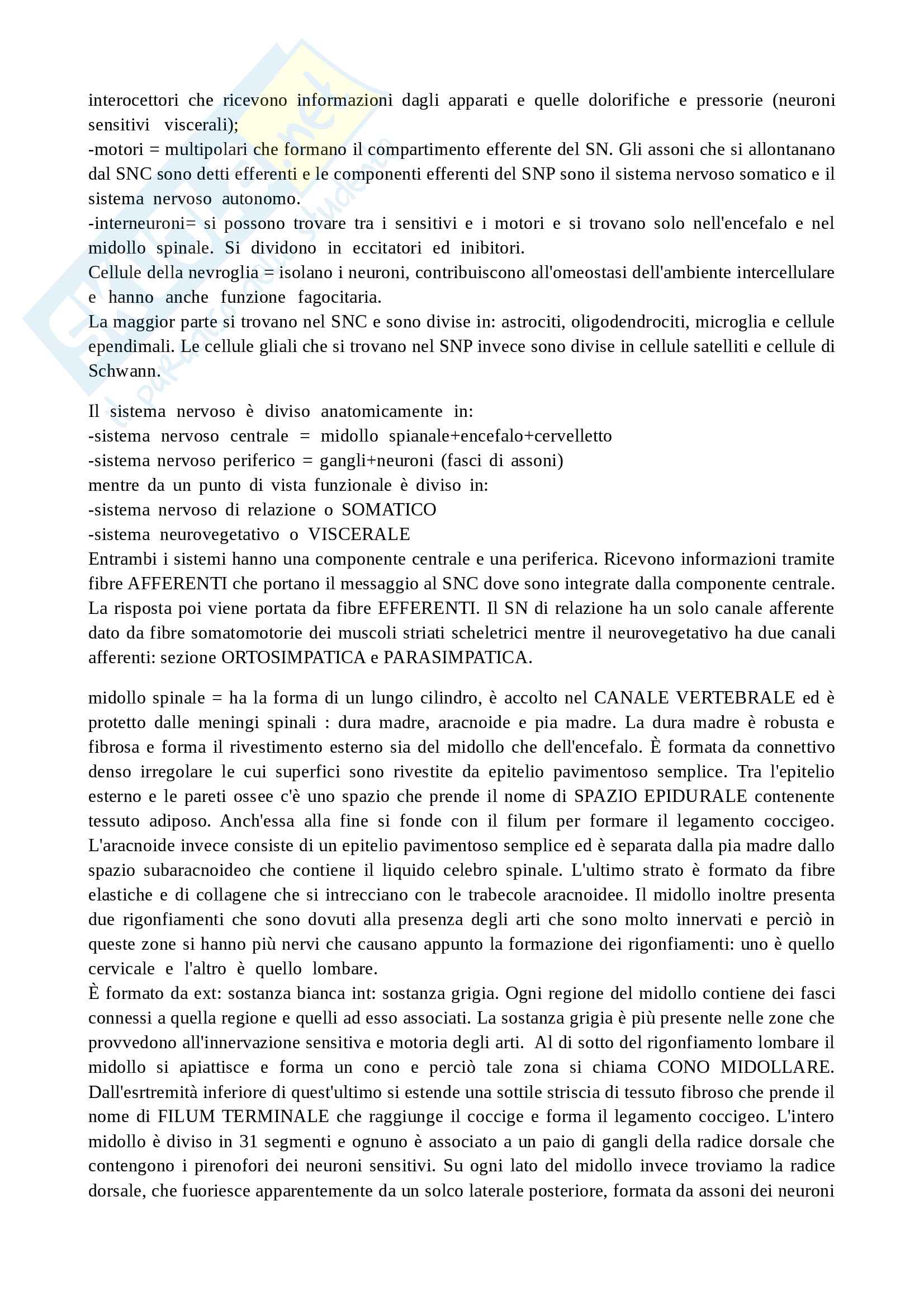 Appunti anatomia Pag. 21