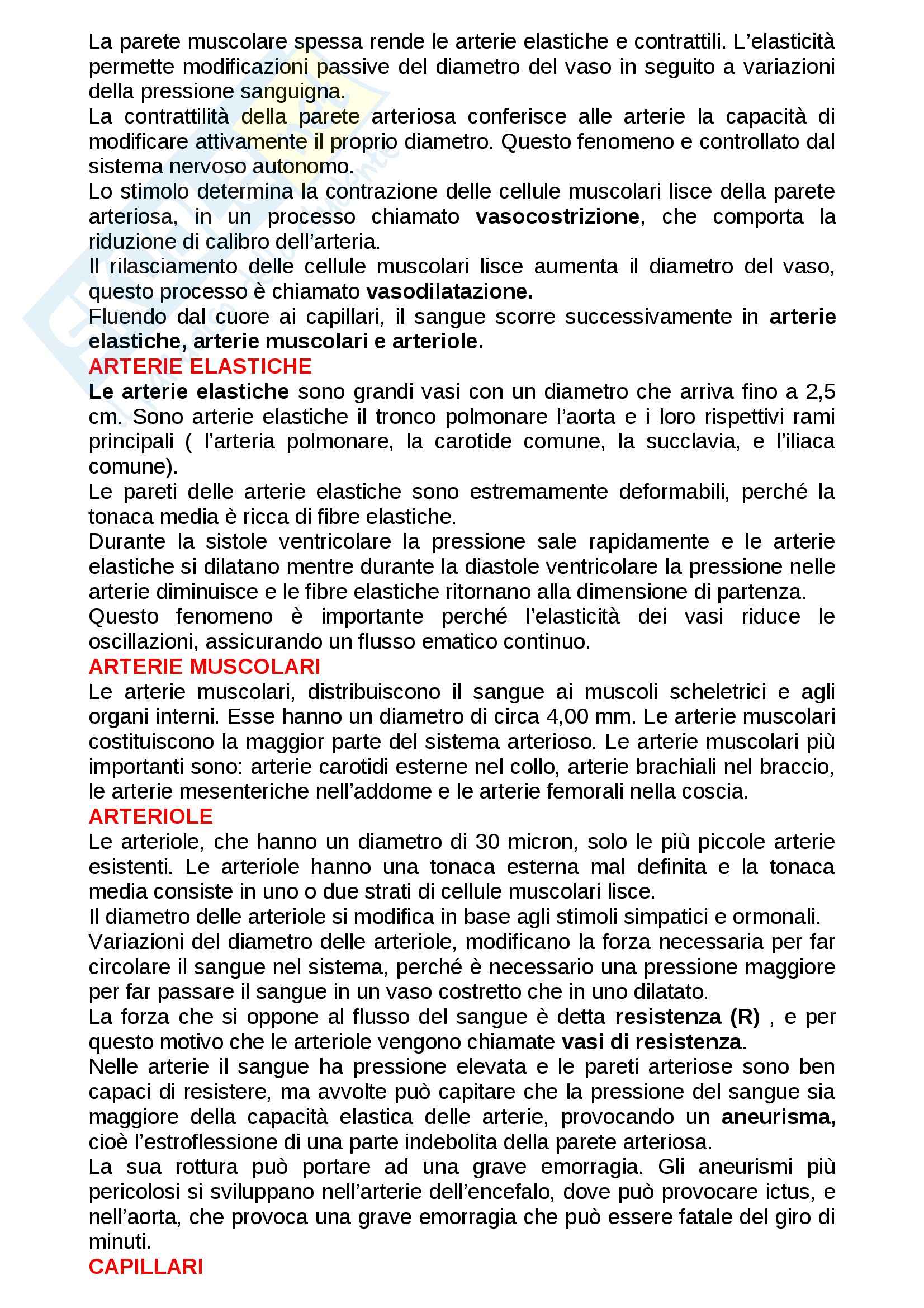 Apparato cardiocircolatorio: Appunti di Anatomia e fisiologia Pag. 16
