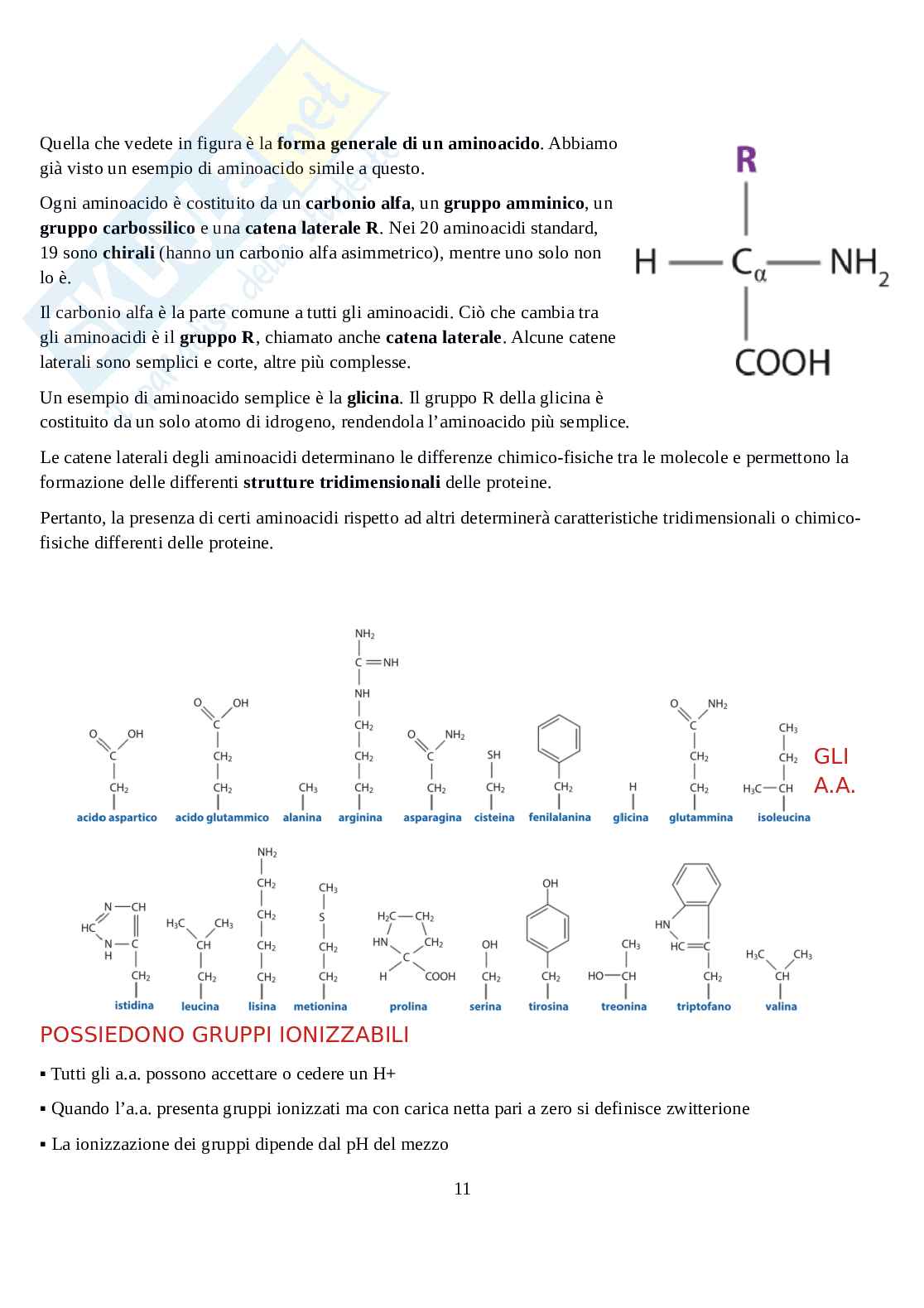 Biochimica - Parte 1  Pag. 11