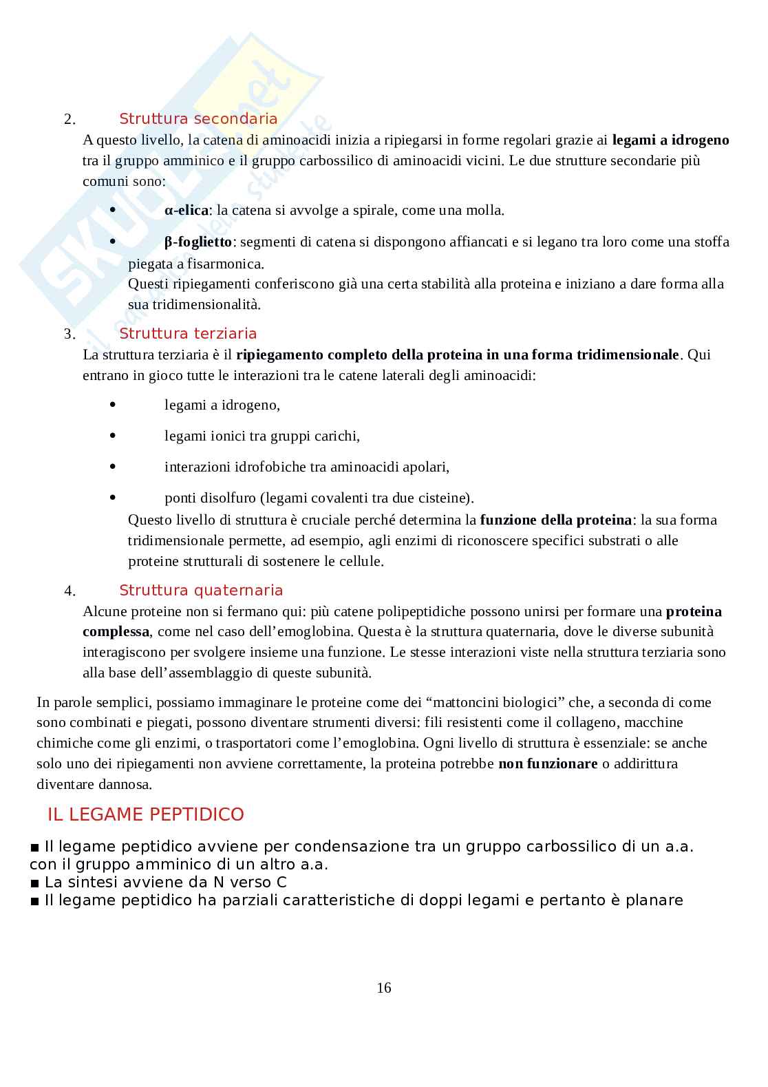 Biochimica - Parte 1  Pag. 16