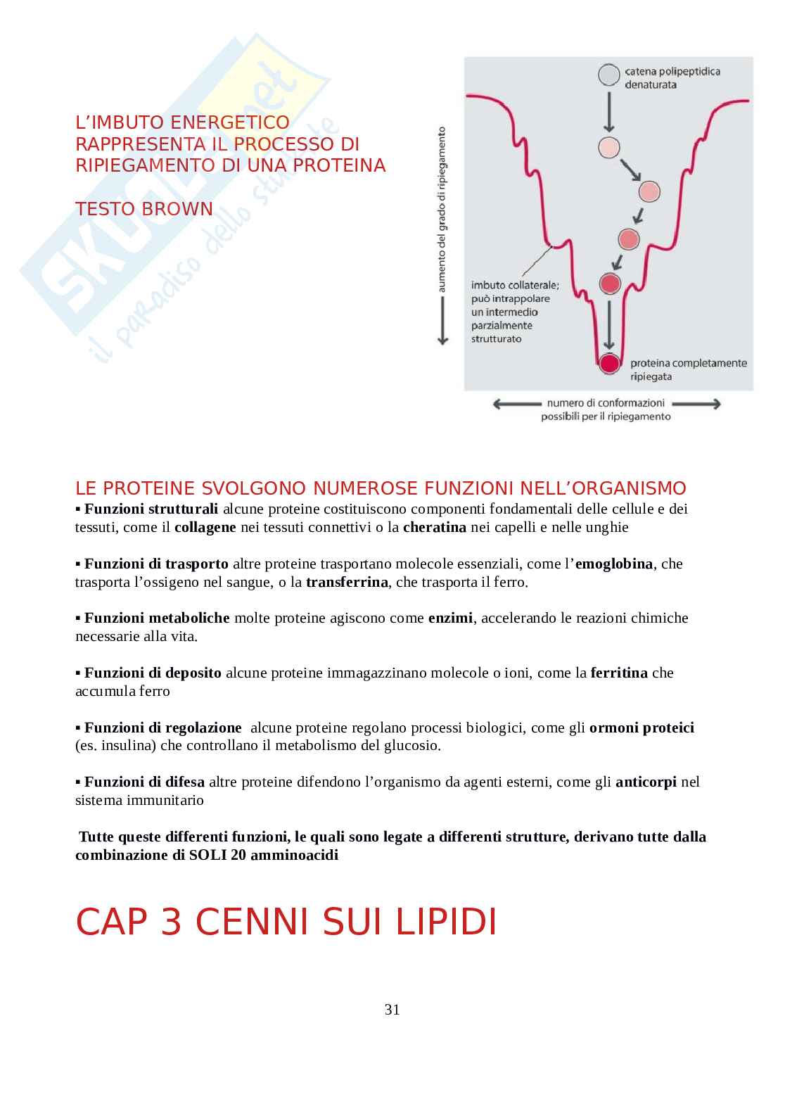 Biochimica - Parte 1  Pag. 31