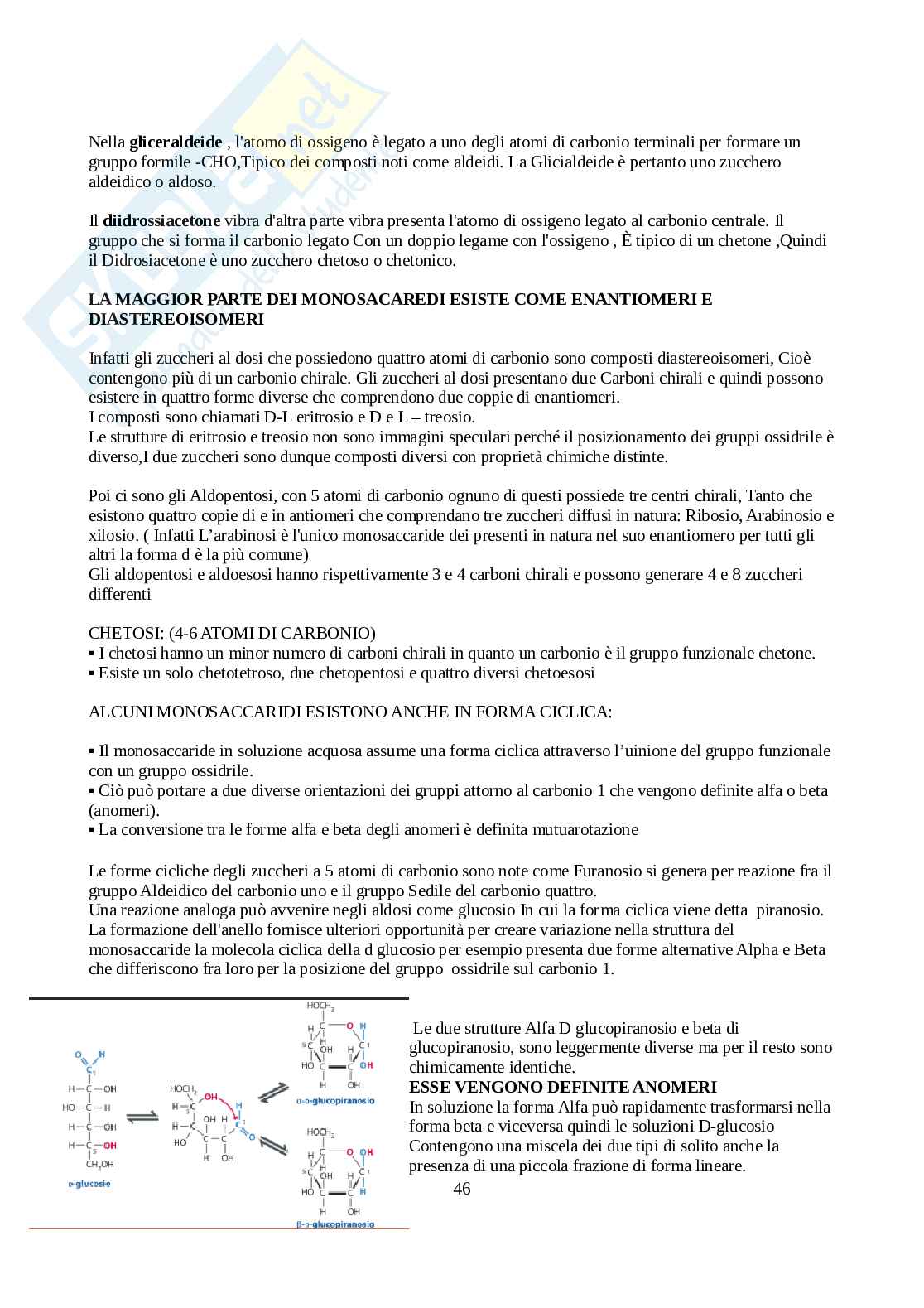 Biochimica - Parte 1  Pag. 46