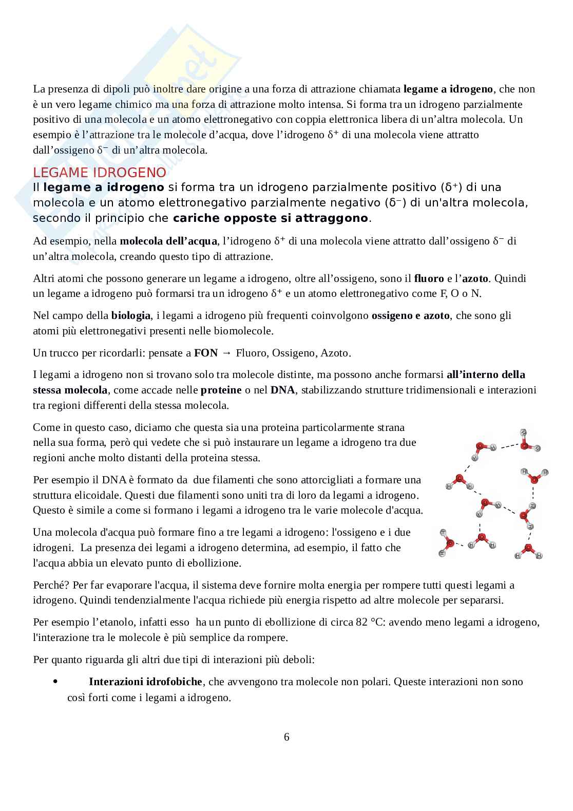 Biochimica - Parte 1  Pag. 6