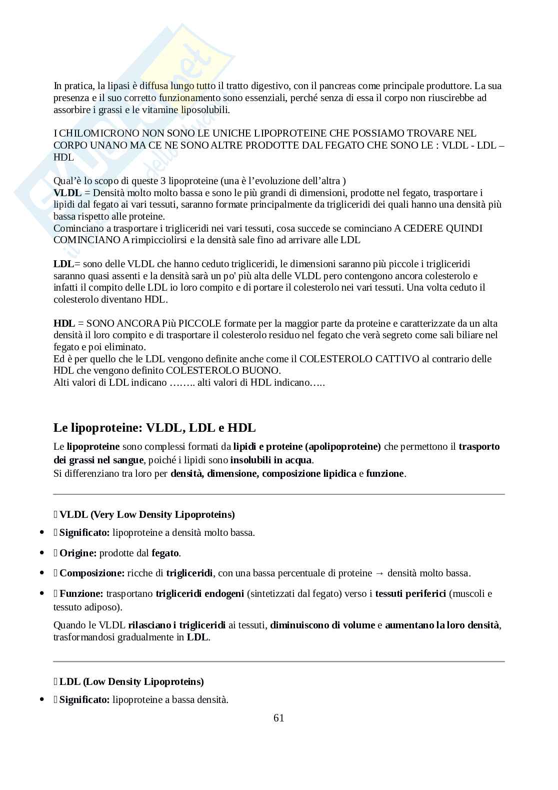 Biochimica - Parte 1  Pag. 61