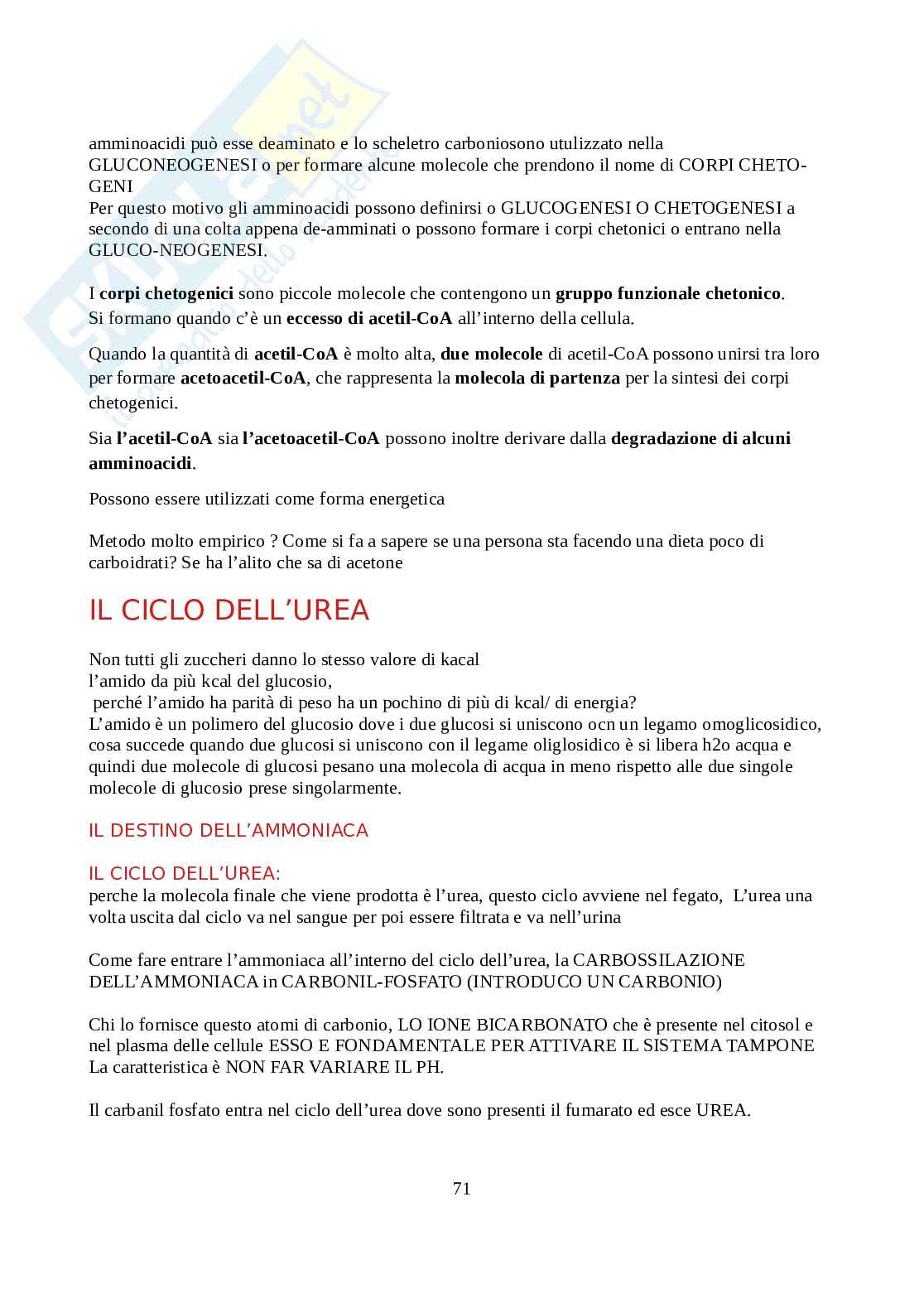 Biochimica - Parte 1  Pag. 71