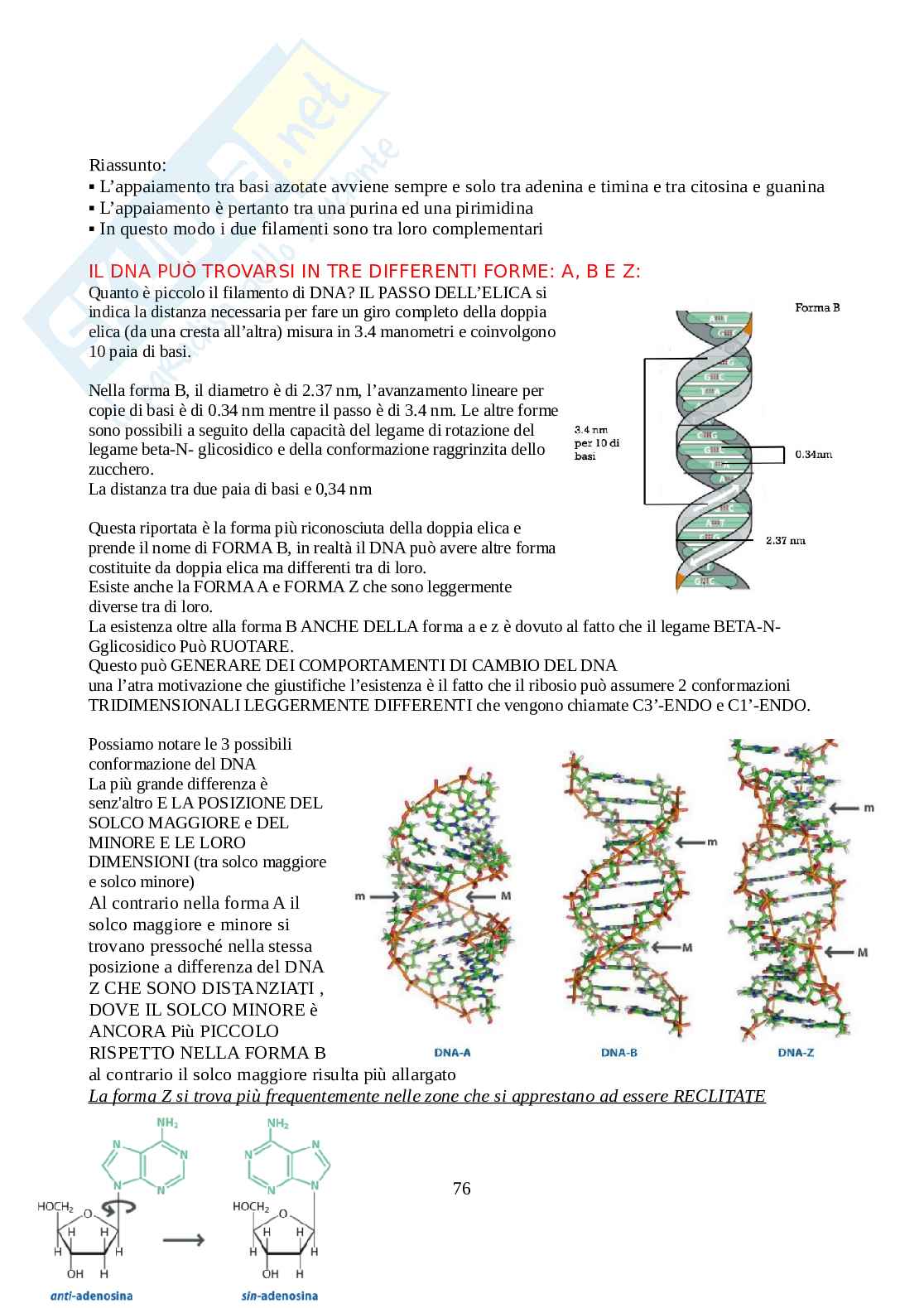 Biochimica - Parte 1  Pag. 76