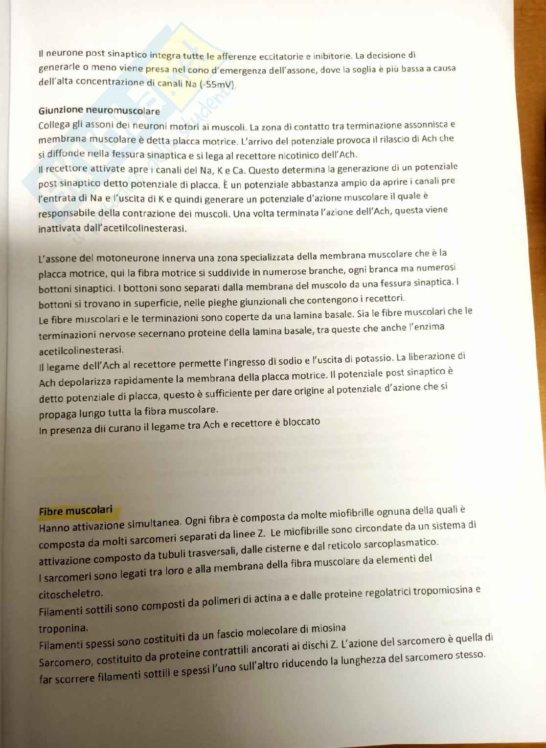 Fisiologia umana Pag. 6
