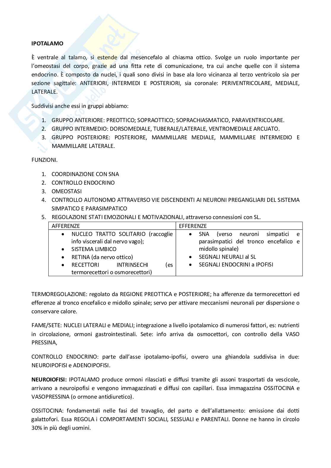Appunti psicobiologia Pag. 21