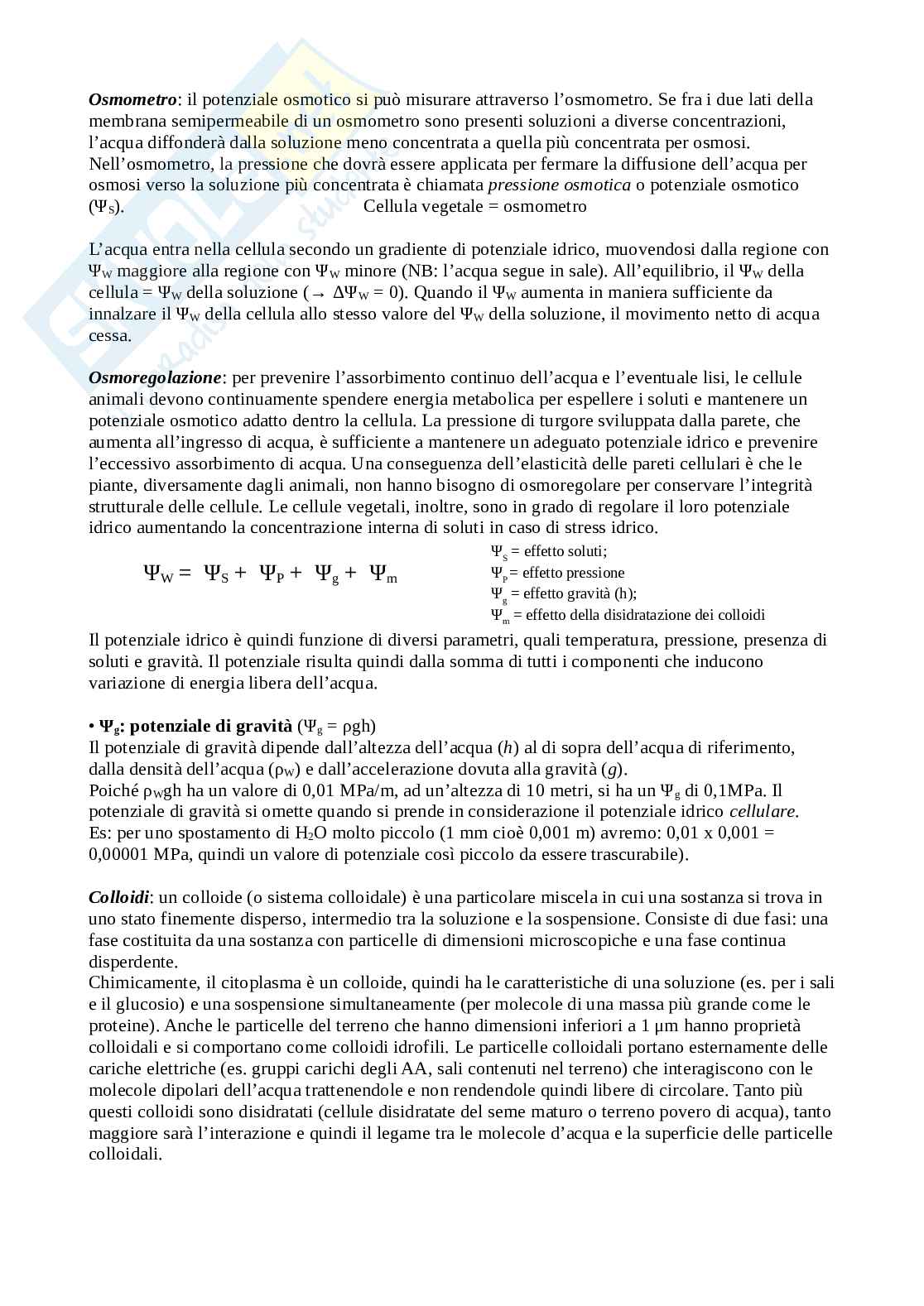 Bilancio idrico Pag. 6