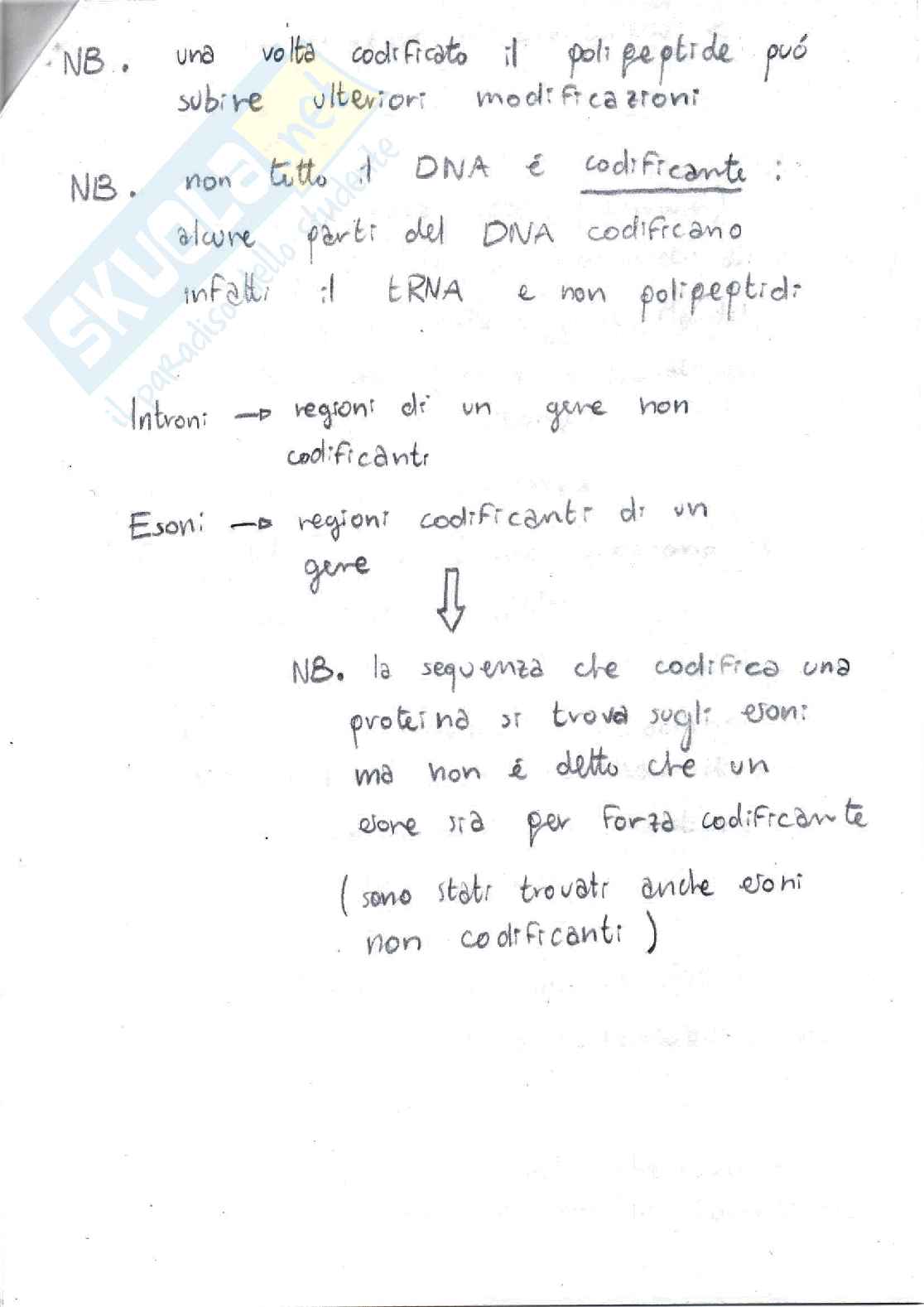 Zoologia generale 6 - Informazione ed ereditarietà Pag. 11