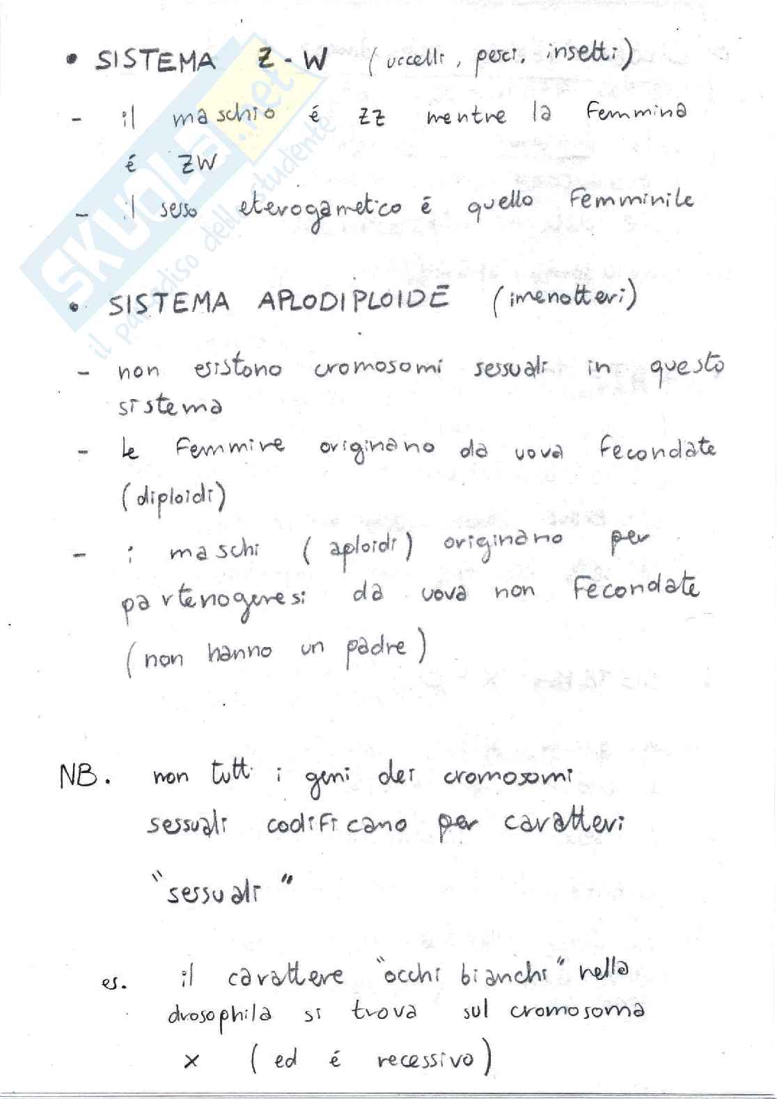 Zoologia generale 6 - Informazione ed ereditarietà Pag. 6