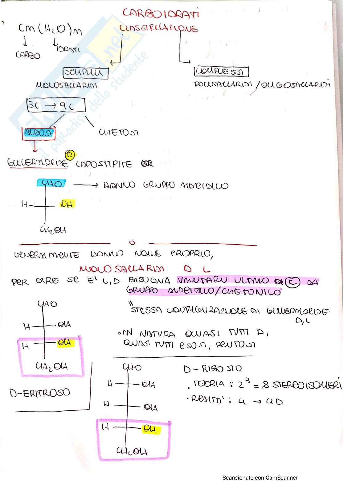 Cosa Sono I Carboidrati Biologia