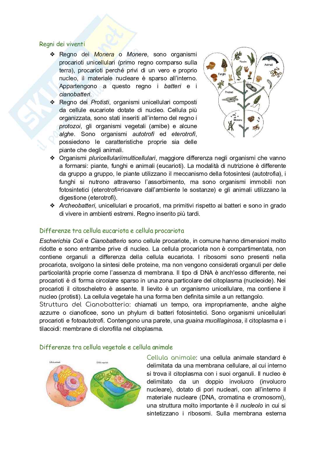 Biologia vegetale Pag. 1