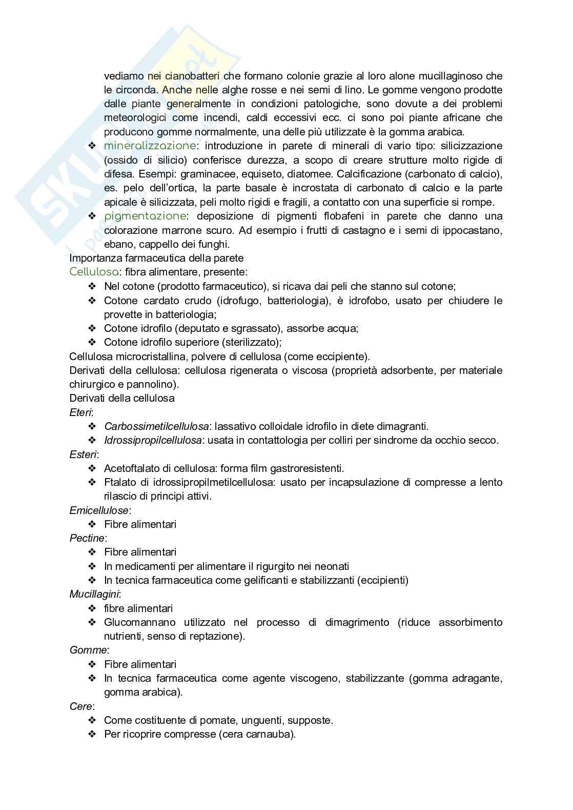 Biologia vegetale Pag. 11